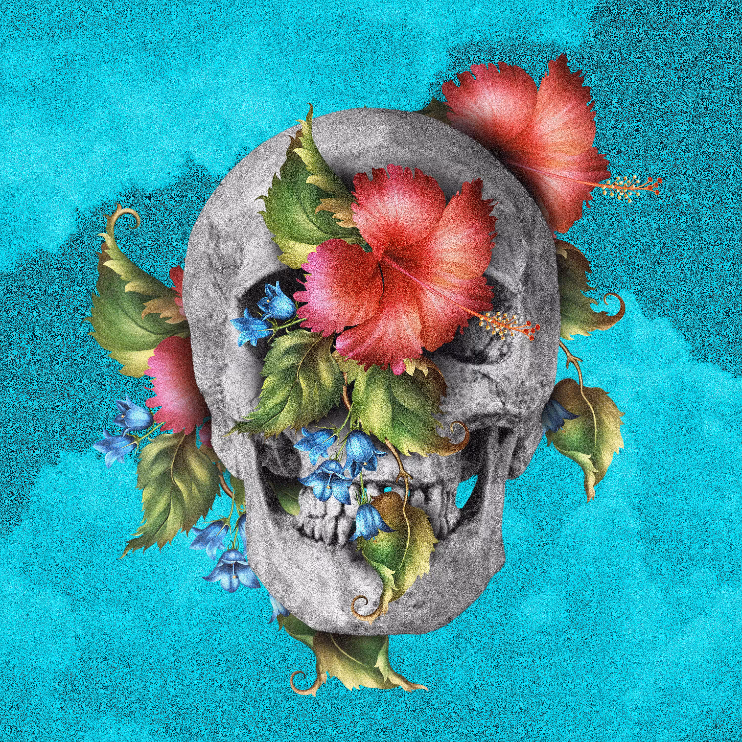 Skull among Roses