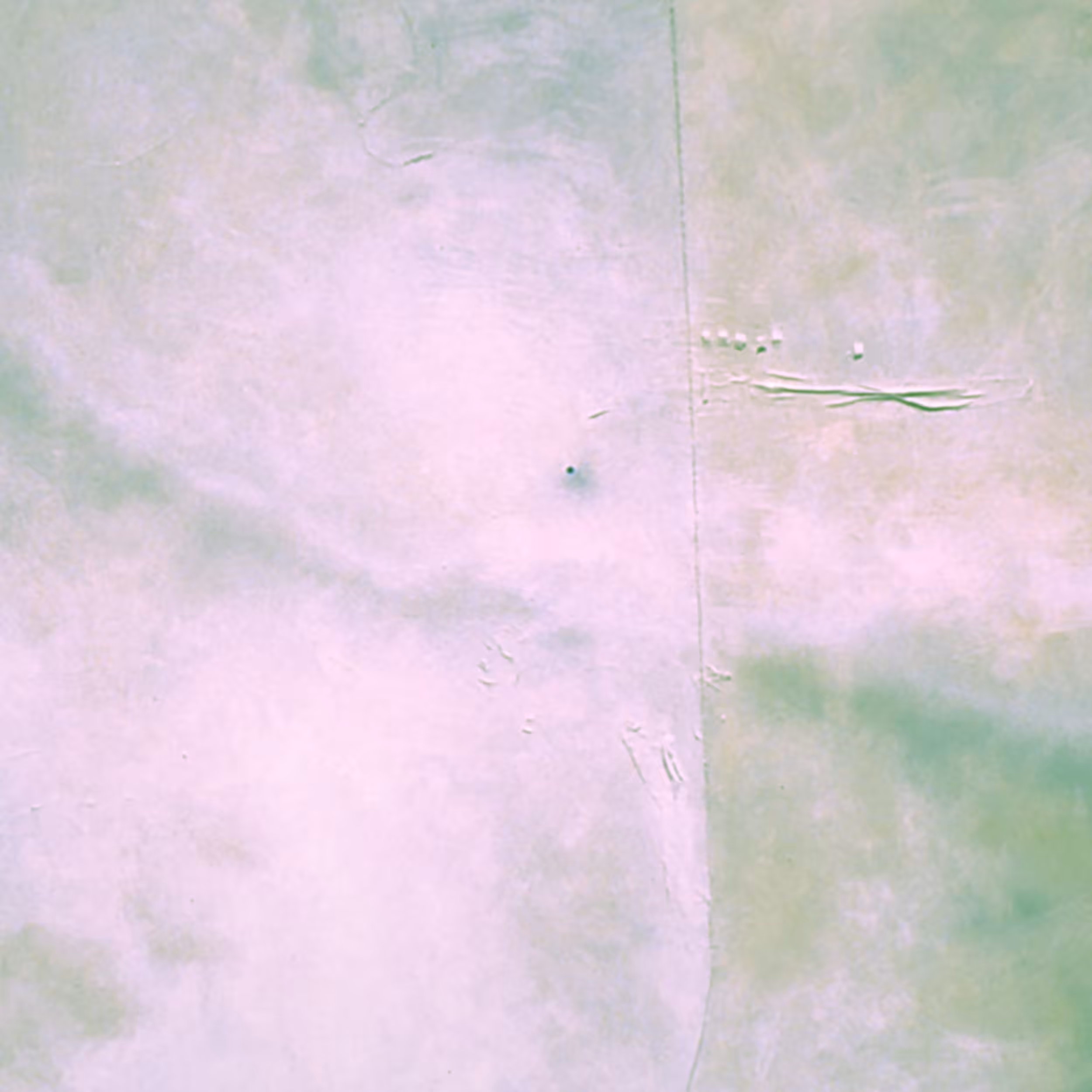 eeeeeeow: UNTITLED WHITE