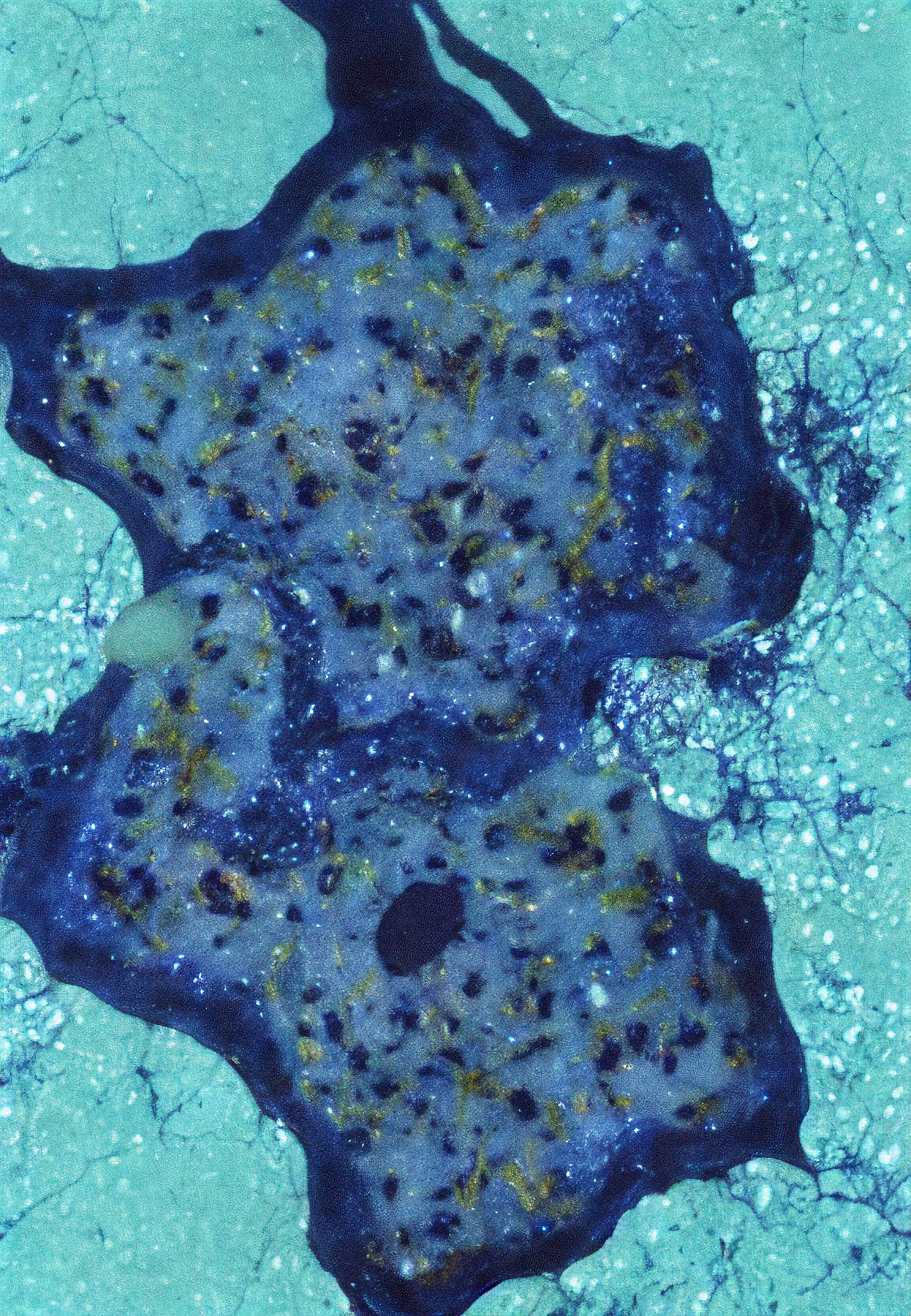 Histologia In Silico #99