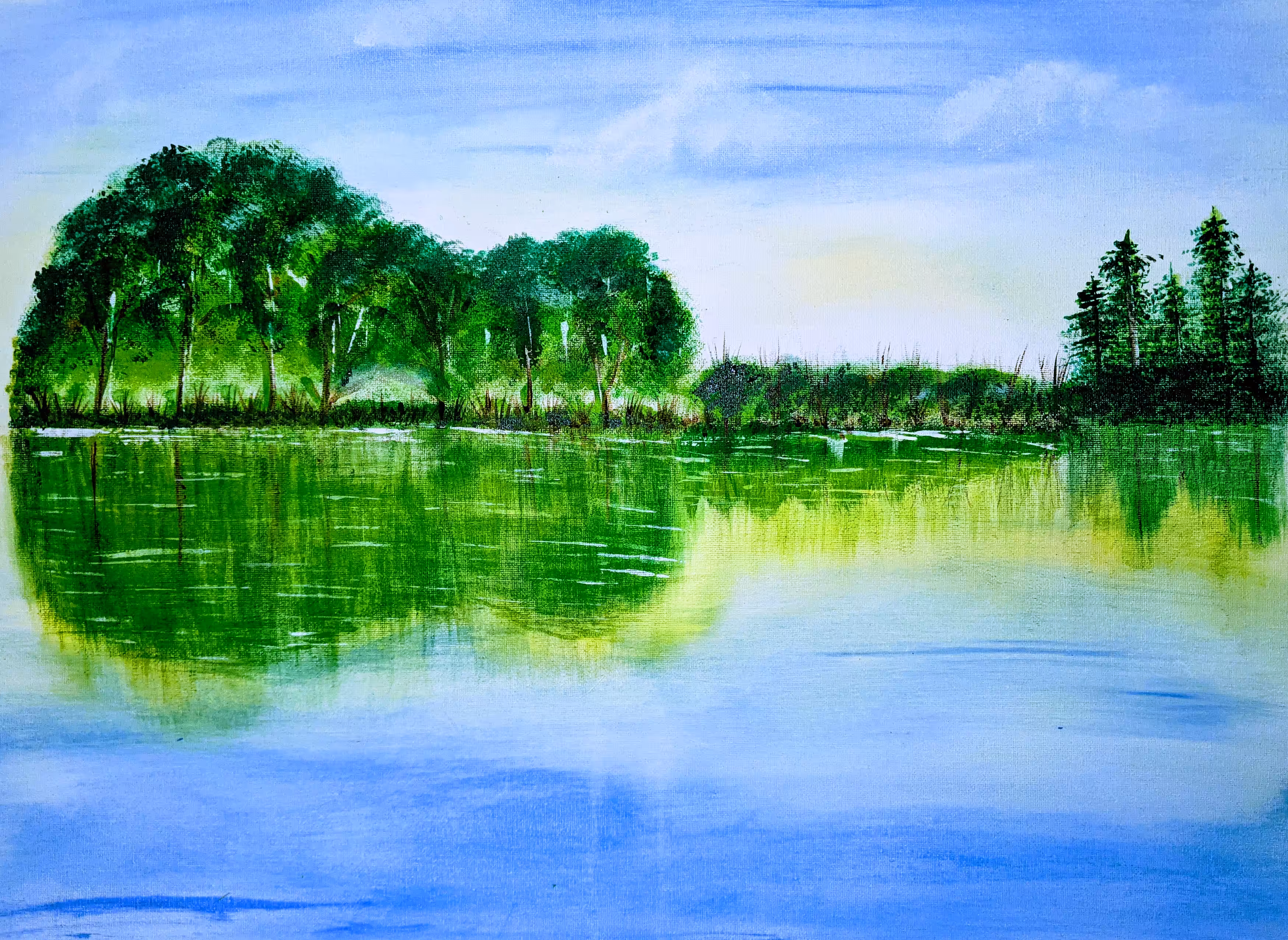 Six String Island 1 of 1