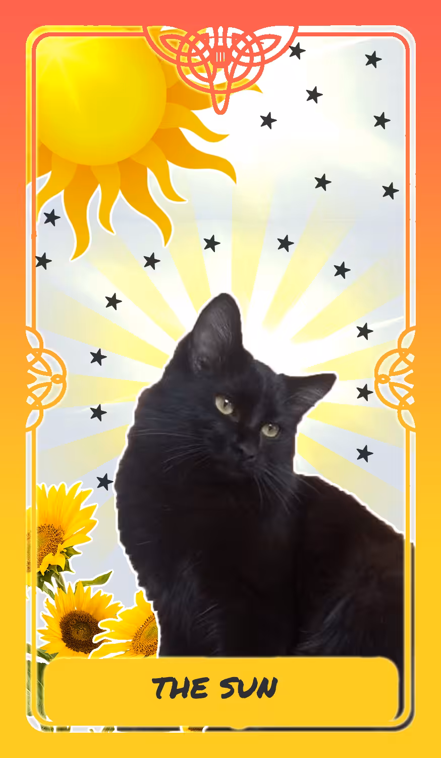 ✨✨ The Sun ✨✨