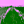 untitled horizon no.00002