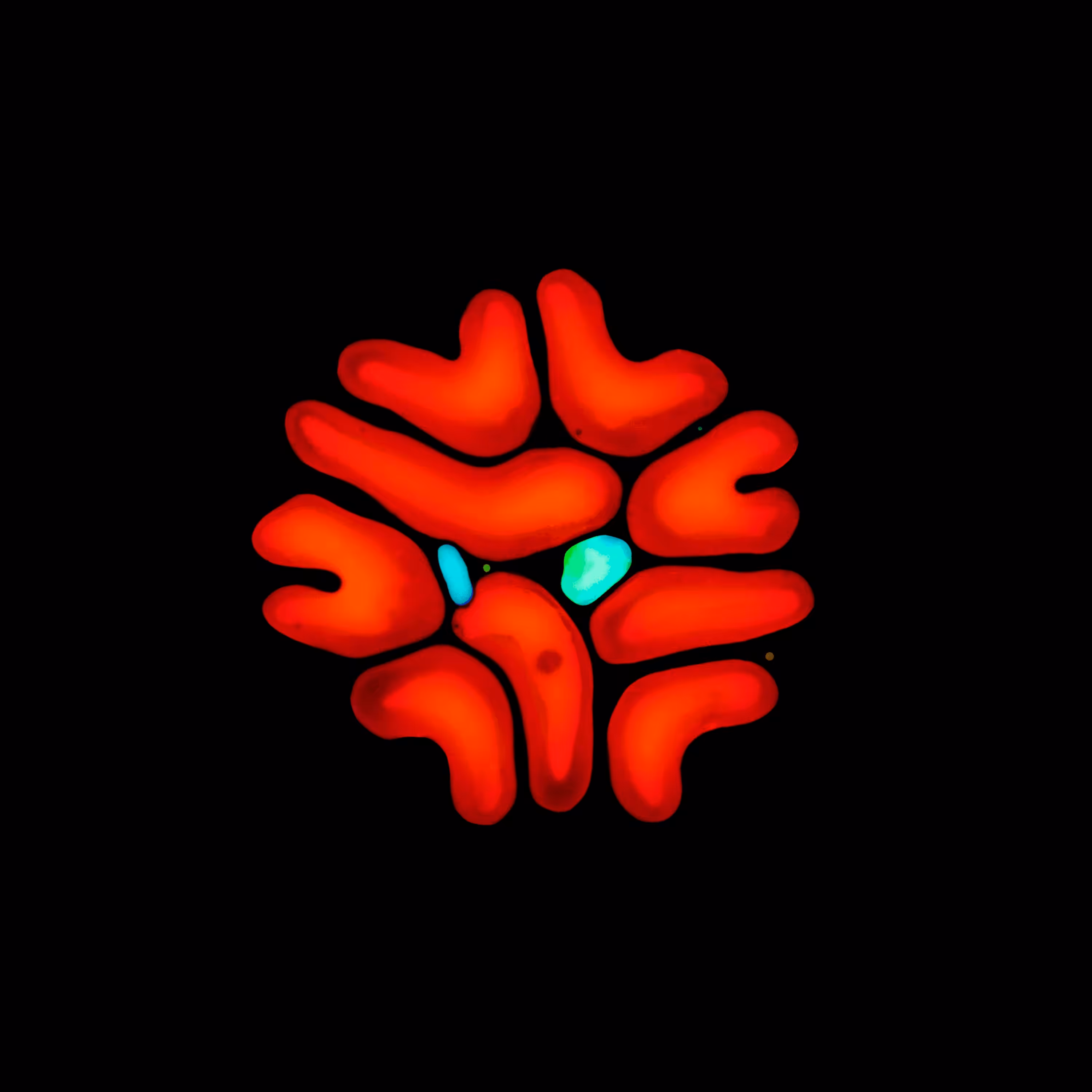 Haematopoiesis #217