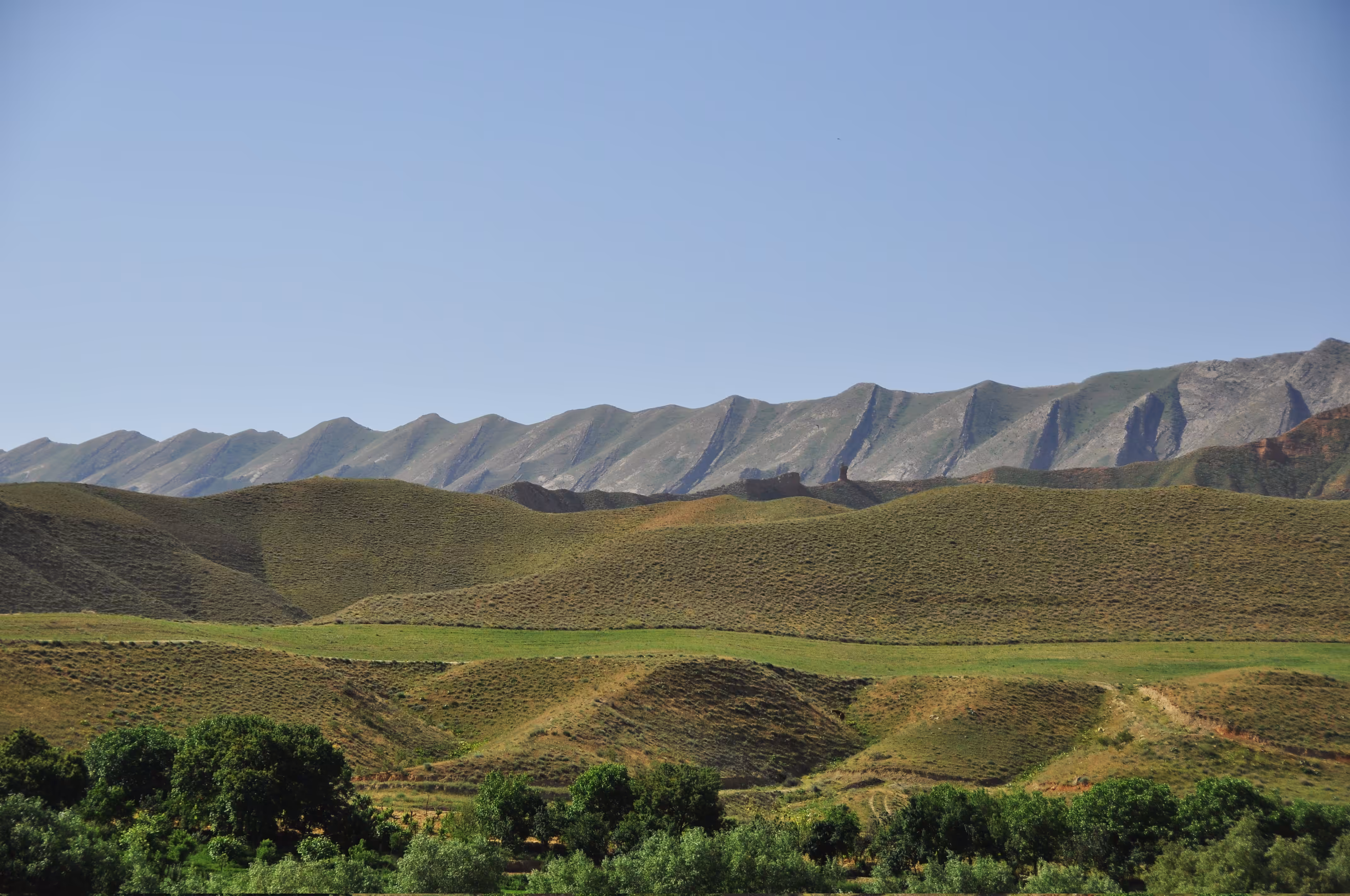 Psychotherapy with nature: A natural castle for a king