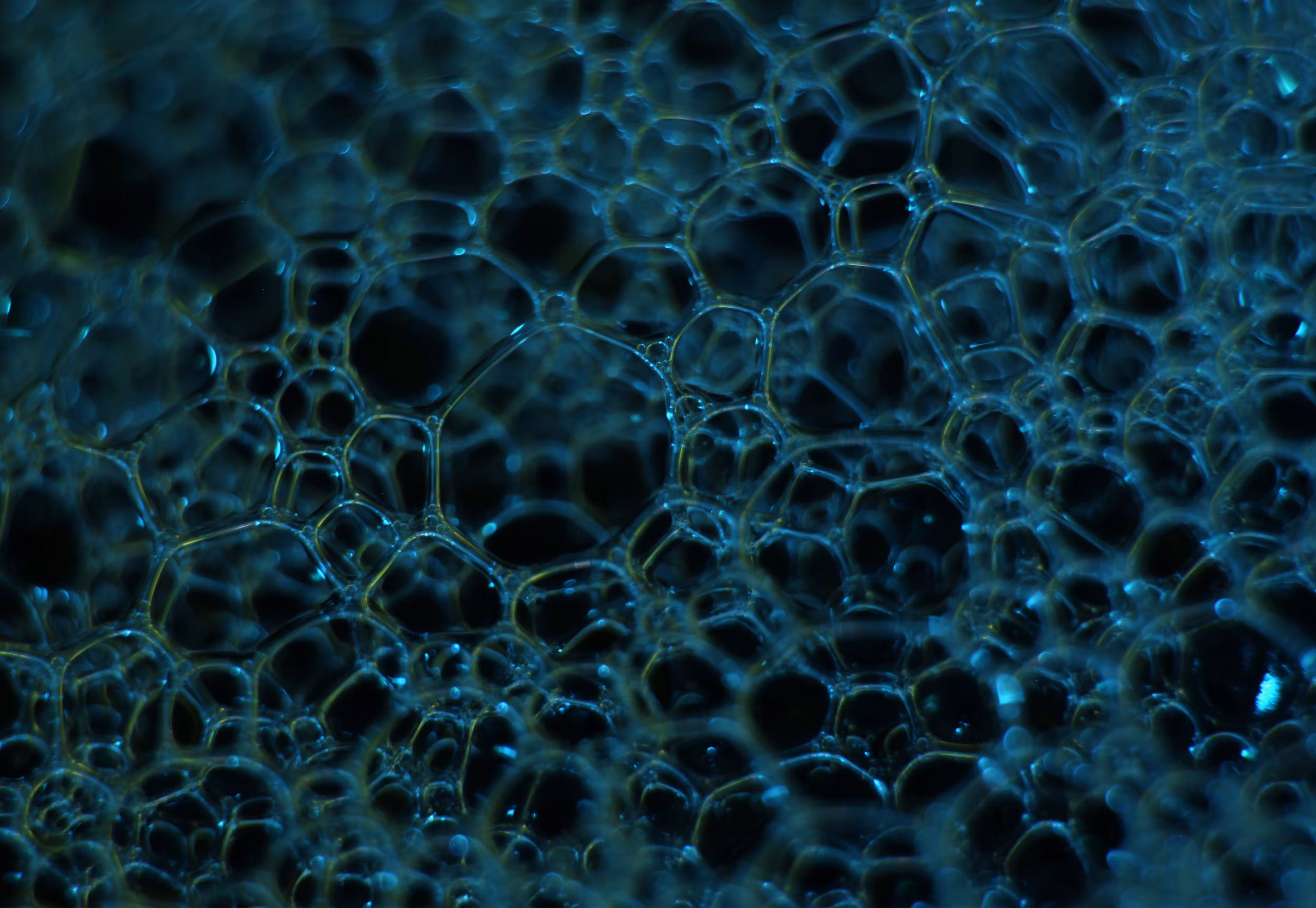 Abstract World of Soap Bubbles: #46 Bubbles