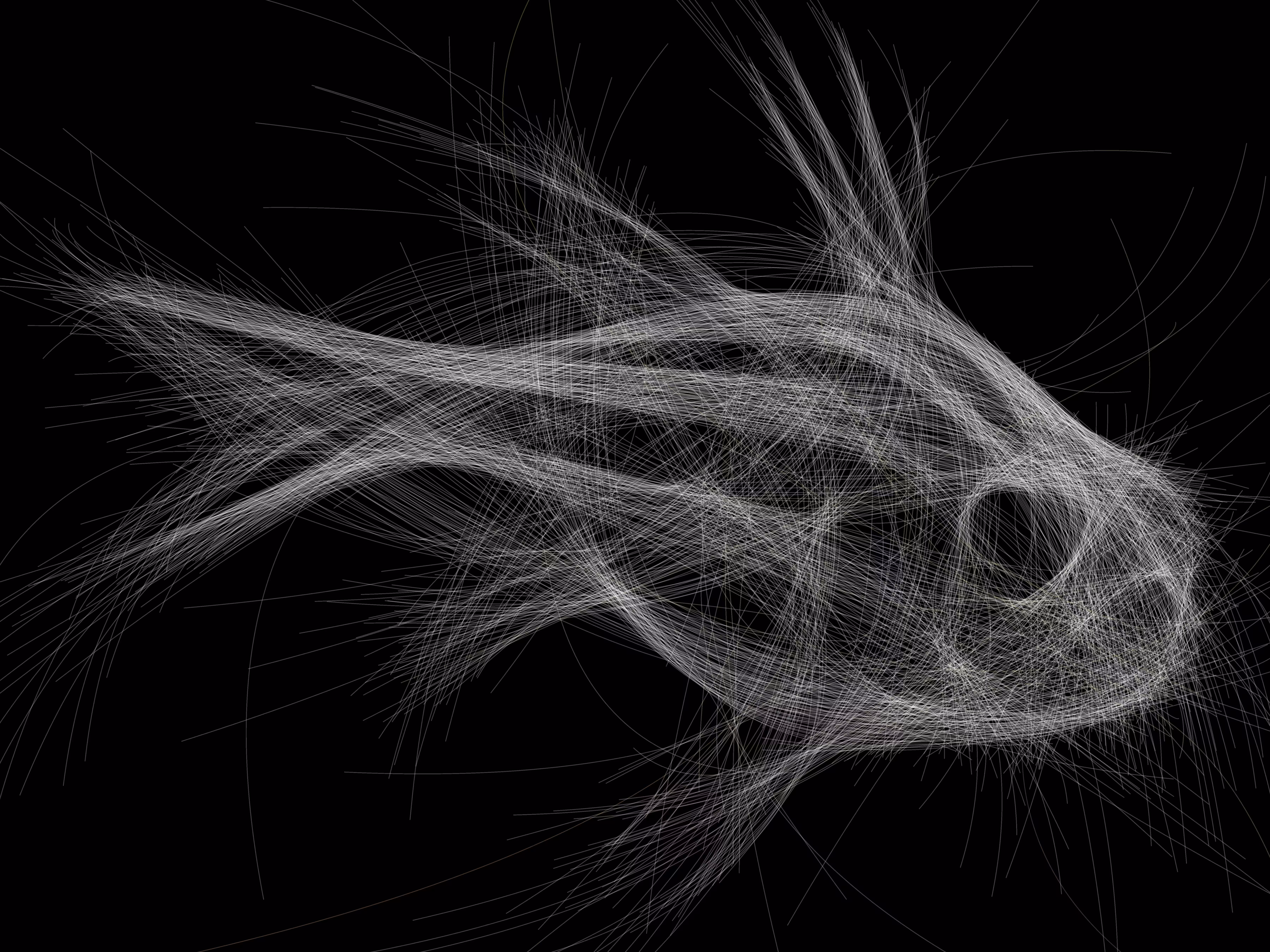 Underwater 229