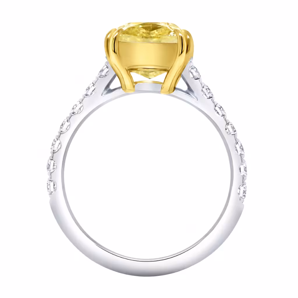 Catalog: SKU-247