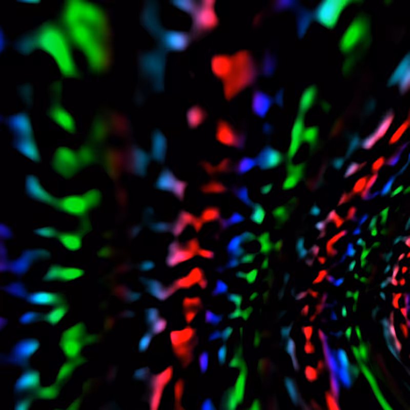 Quantum #1