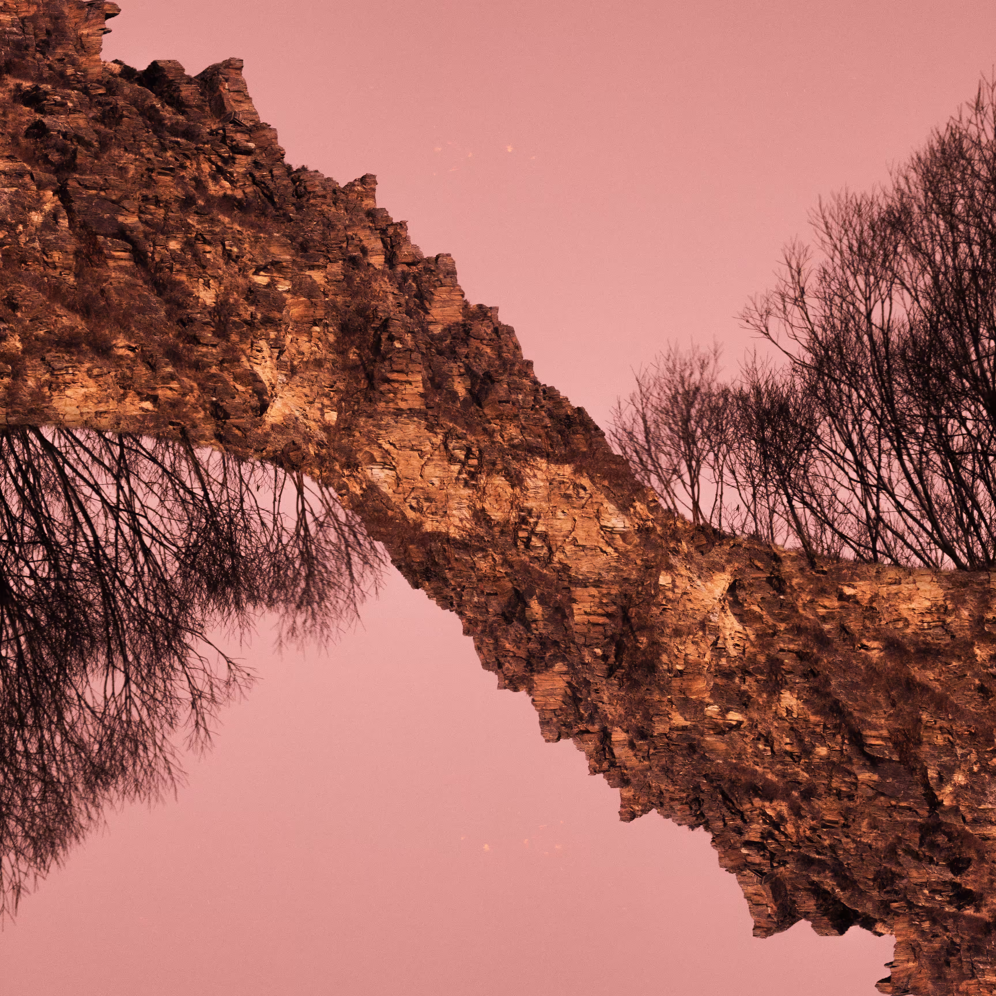 terraformed trees