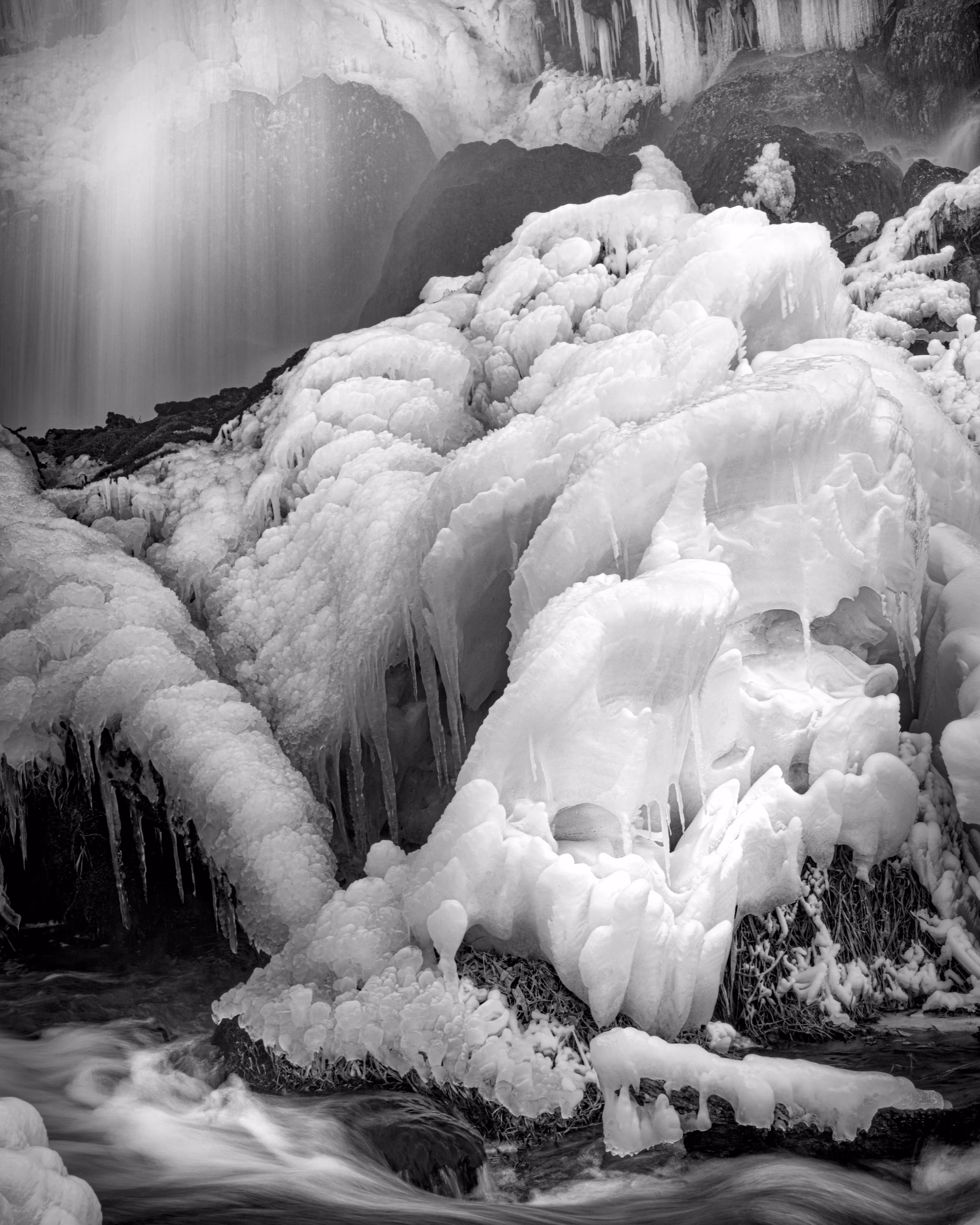 Frozen Fantasia