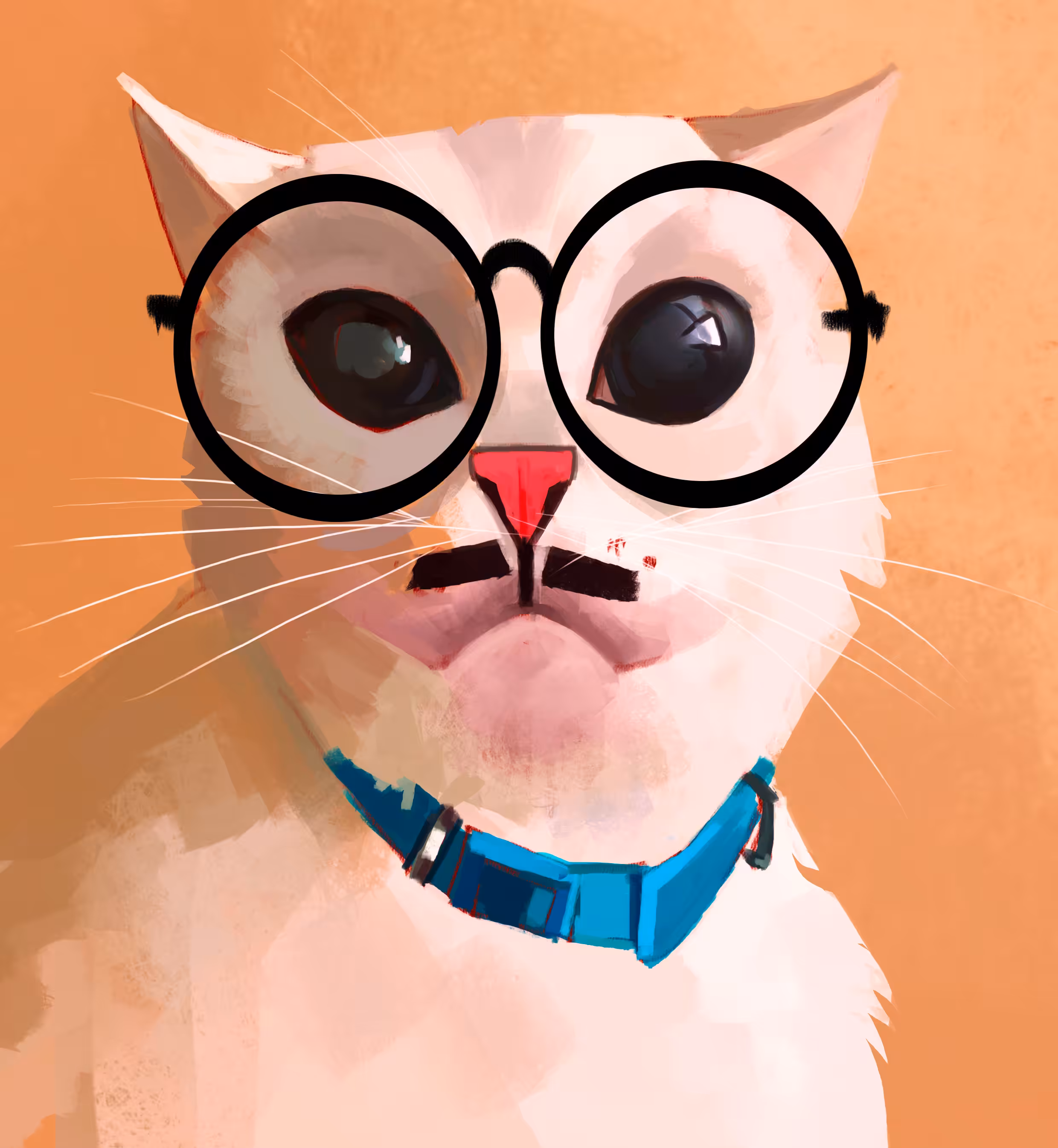Funny Cat