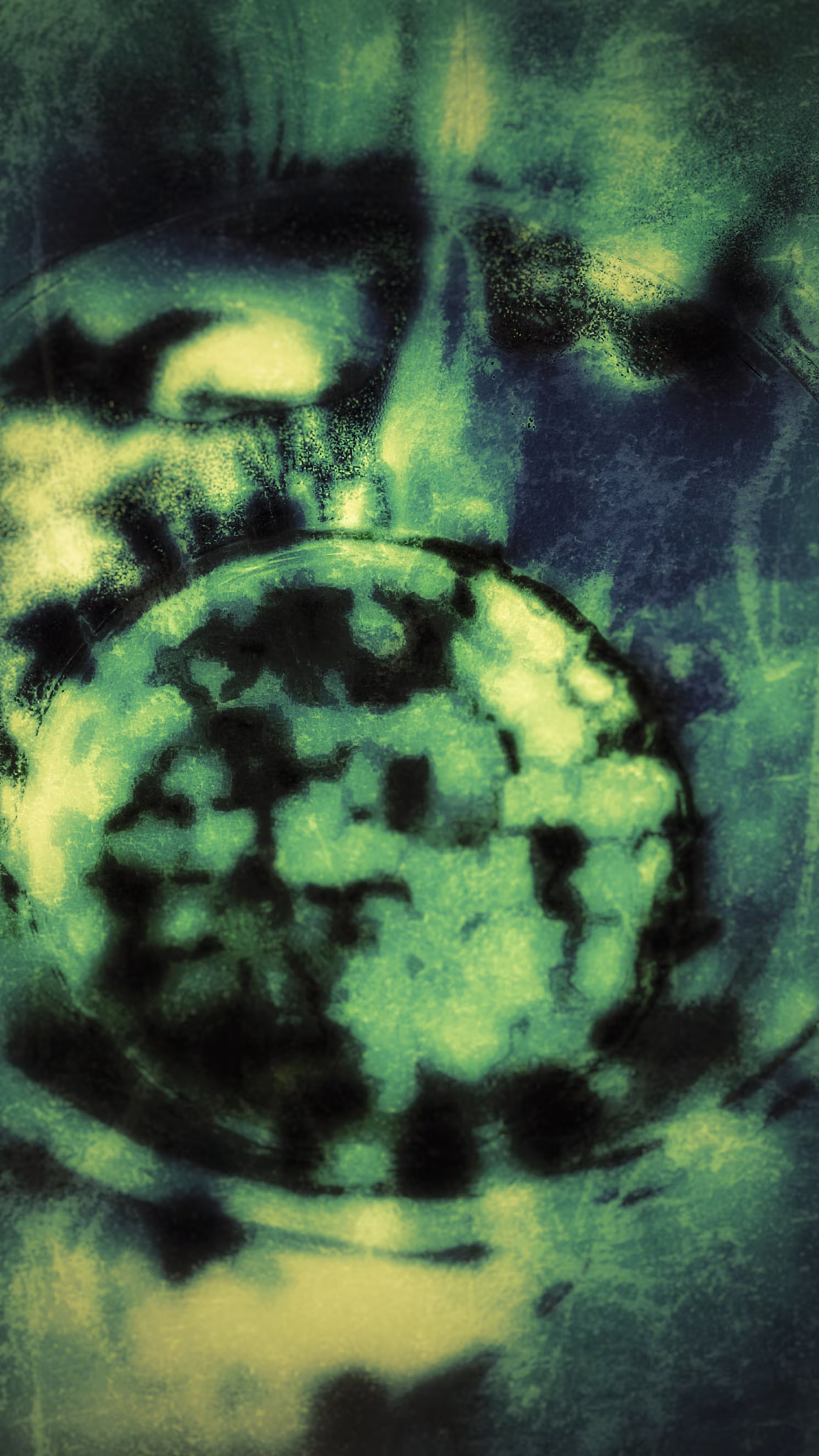 The Core