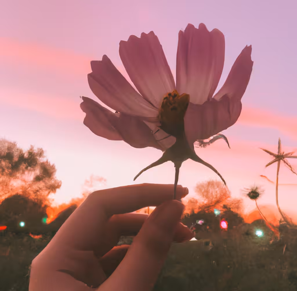 ♡ Just an AI girl ♡ 47