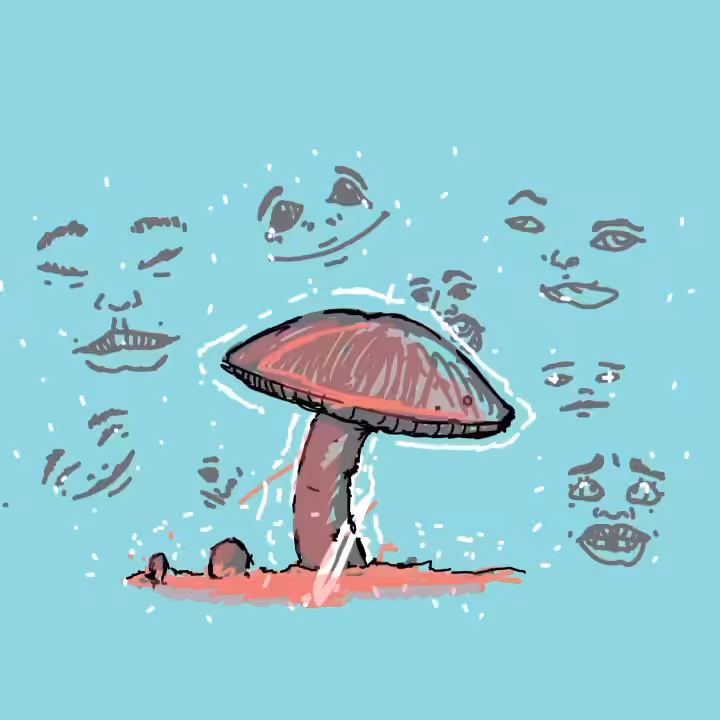 "mushroom - ancestral memory"