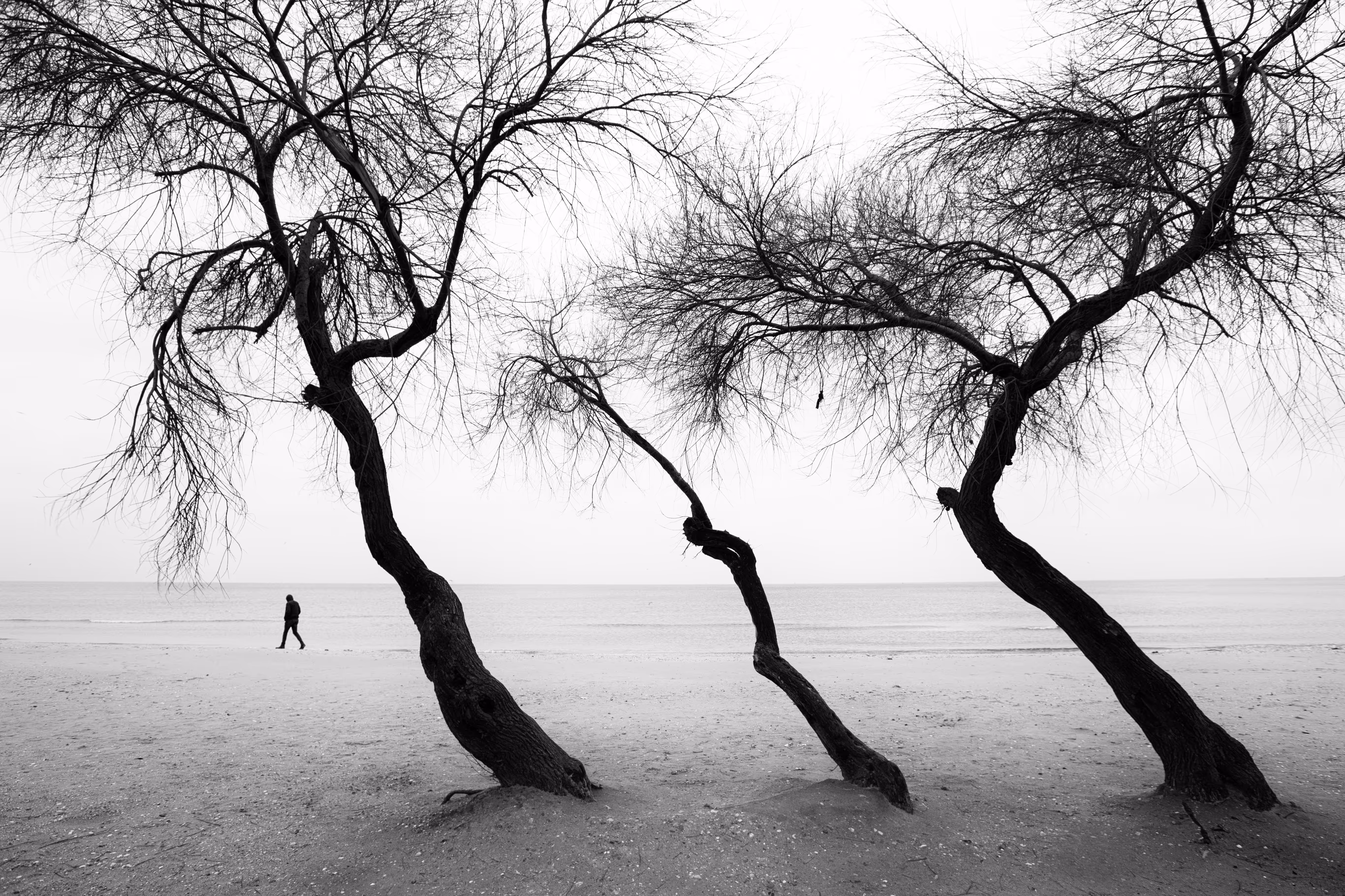 Silence #1