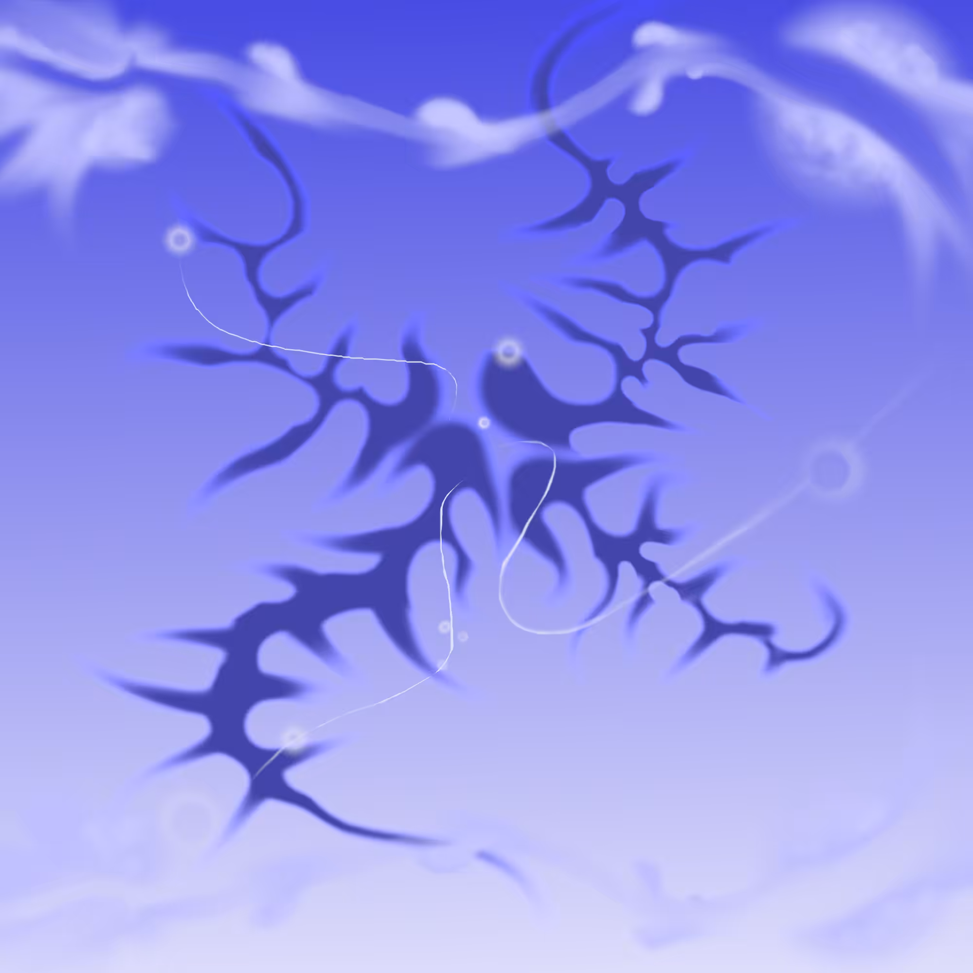 !༺𓆩✦𓆪༻!