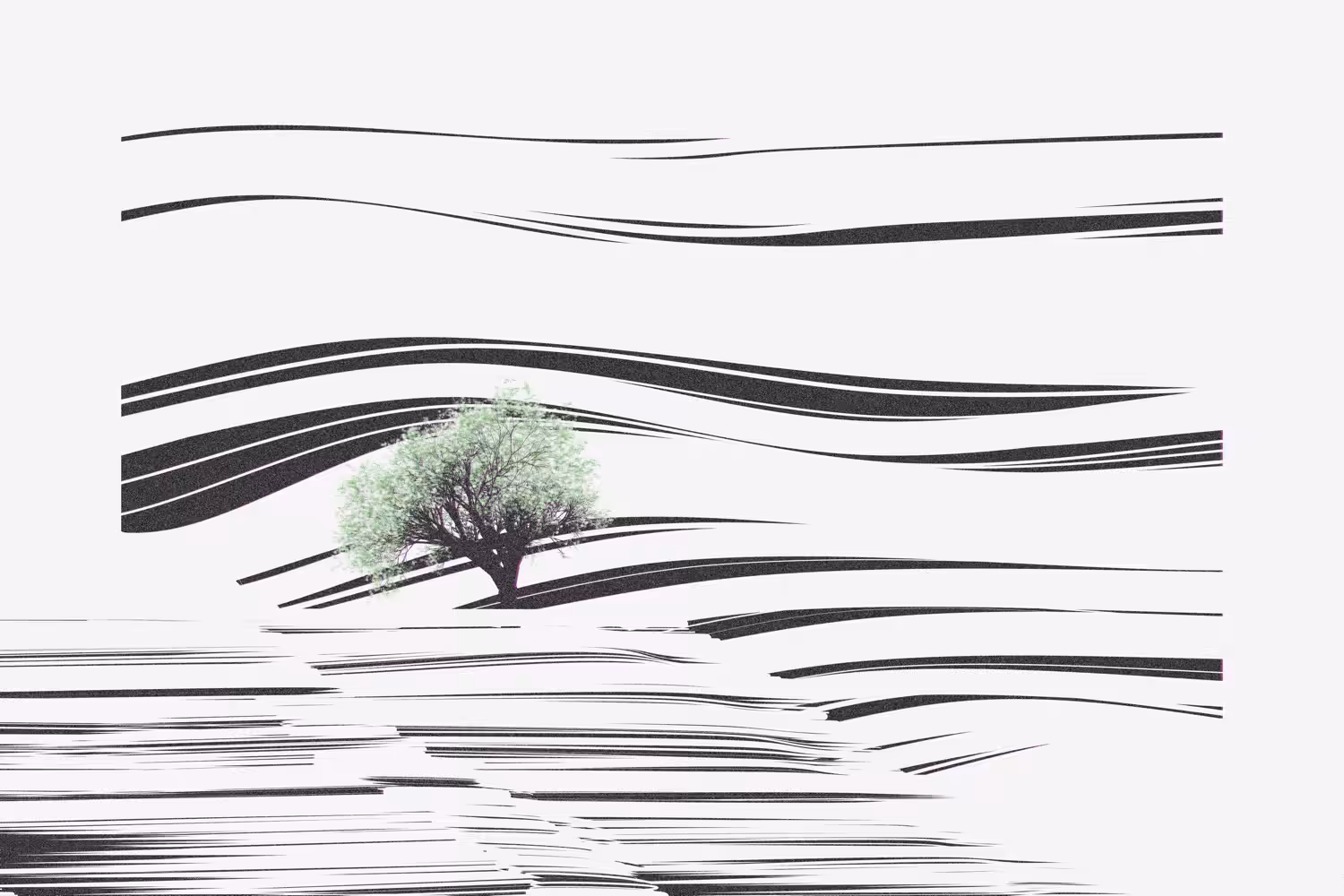 A tree in the distance