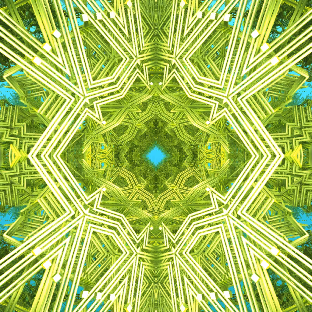 HERE & NOW PORTALS #2