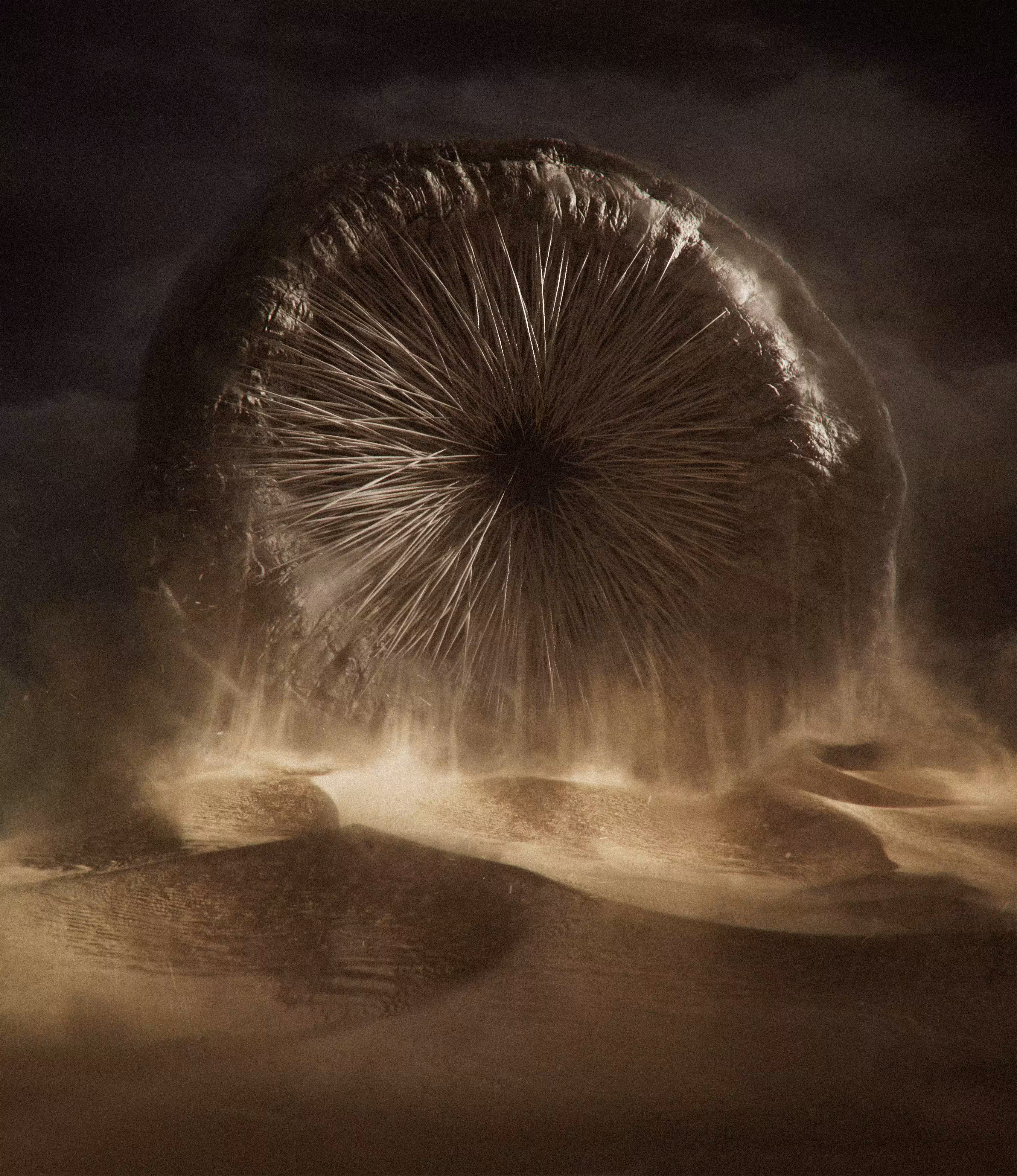 Dune
