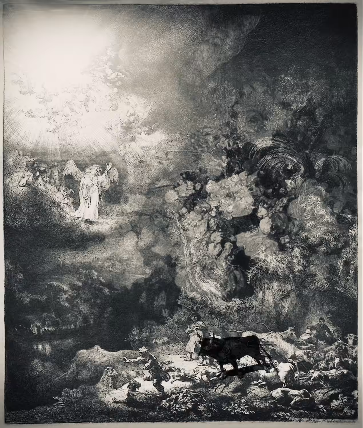 Sights From The Precipice