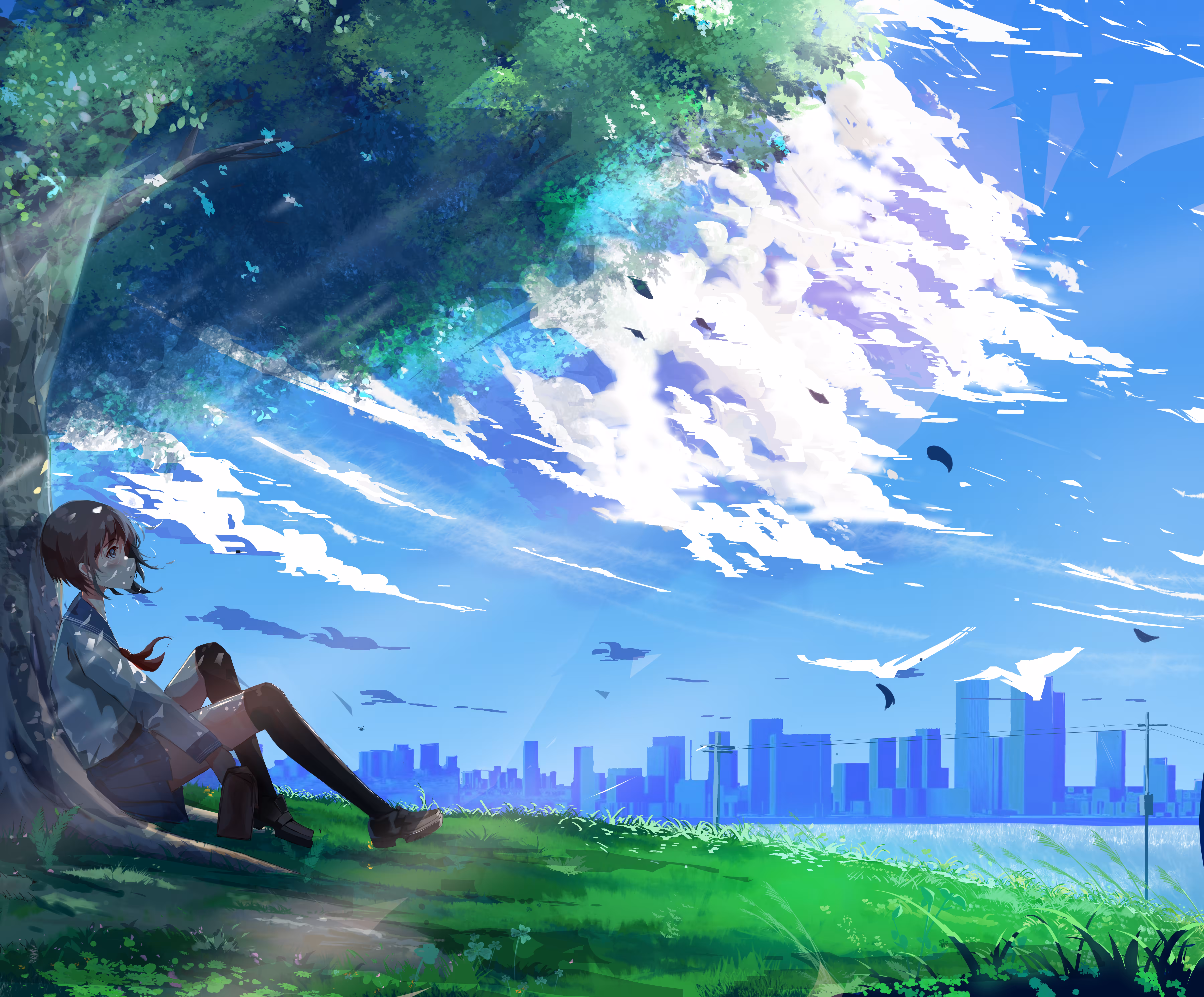 Haven