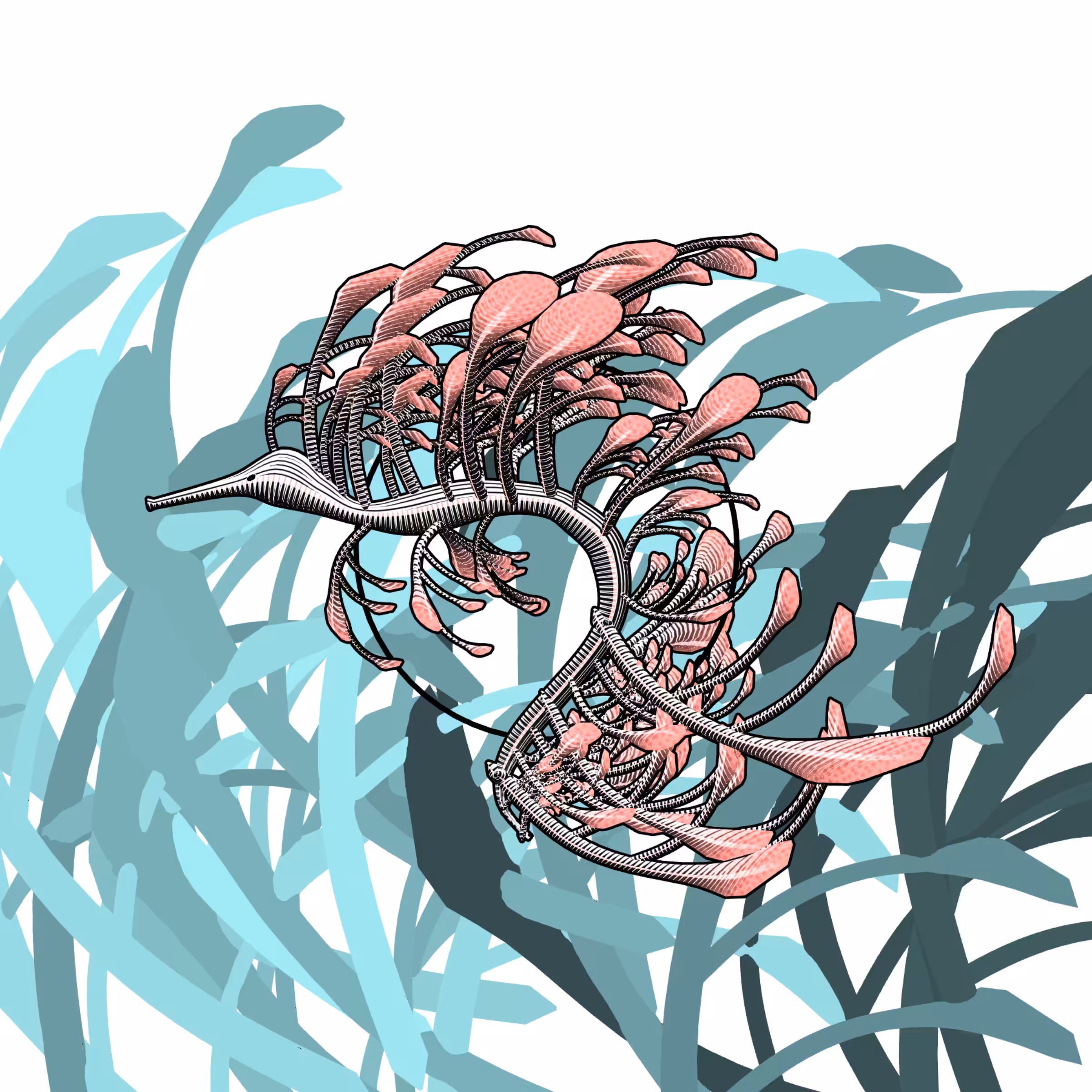 Seadragons #178