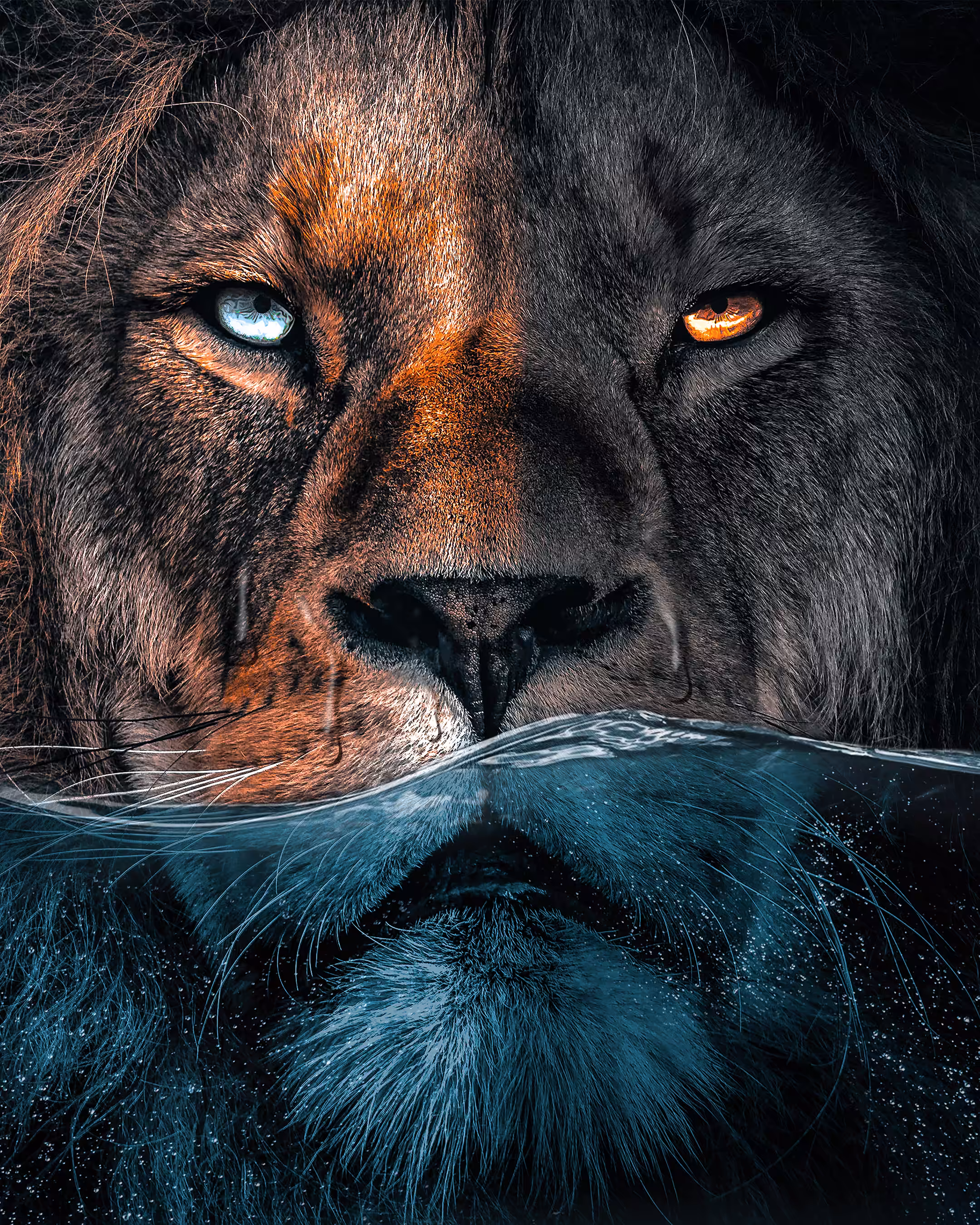 Underwater Lion