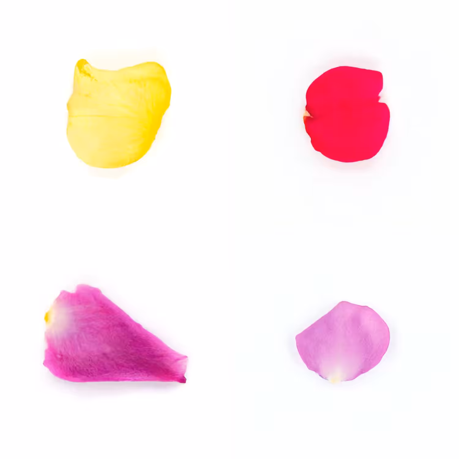 Infinite Petals 2x2#3150