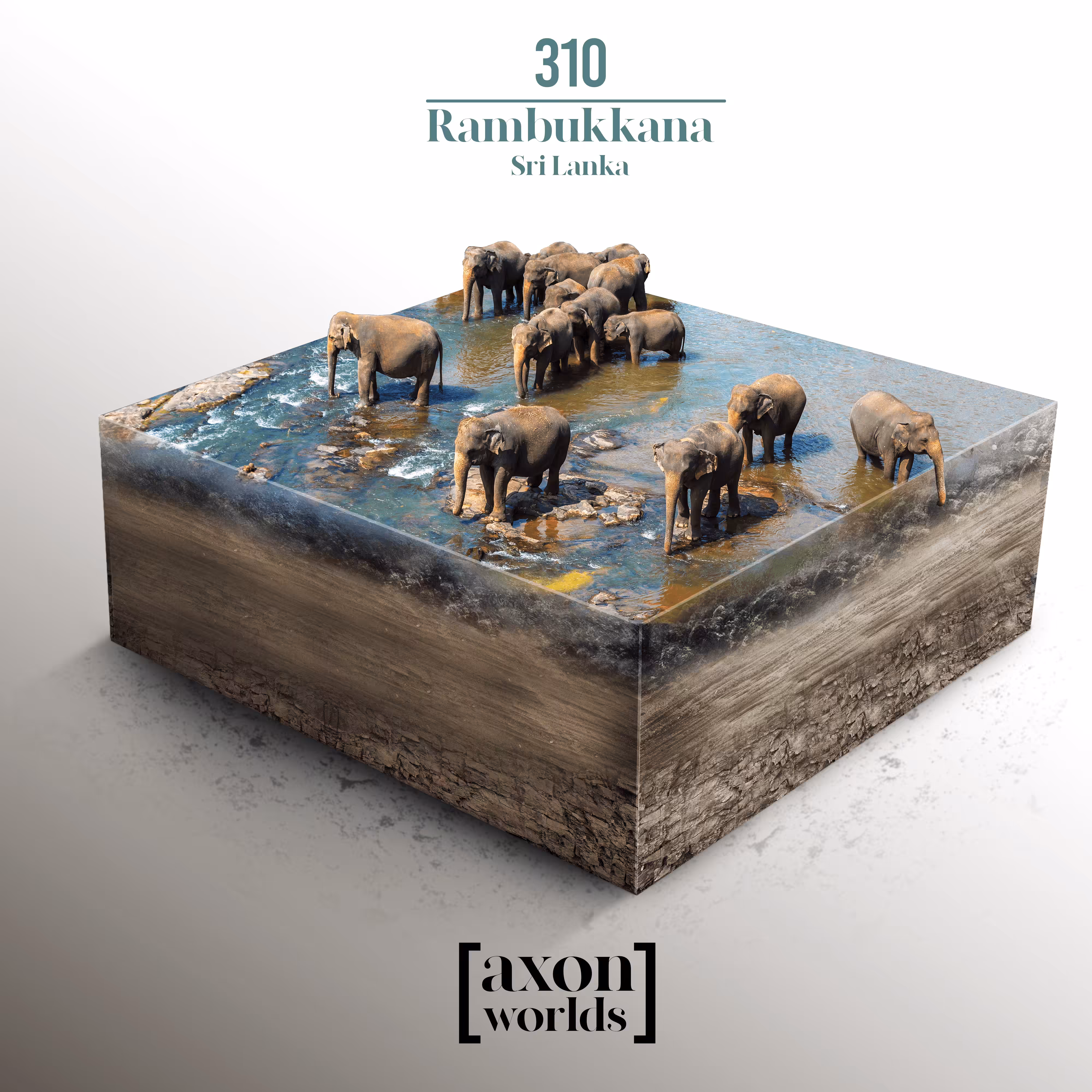 AXON WORLD | 310/1423 | RAMBUKKANA | SRILANKA | MICRO WORLD