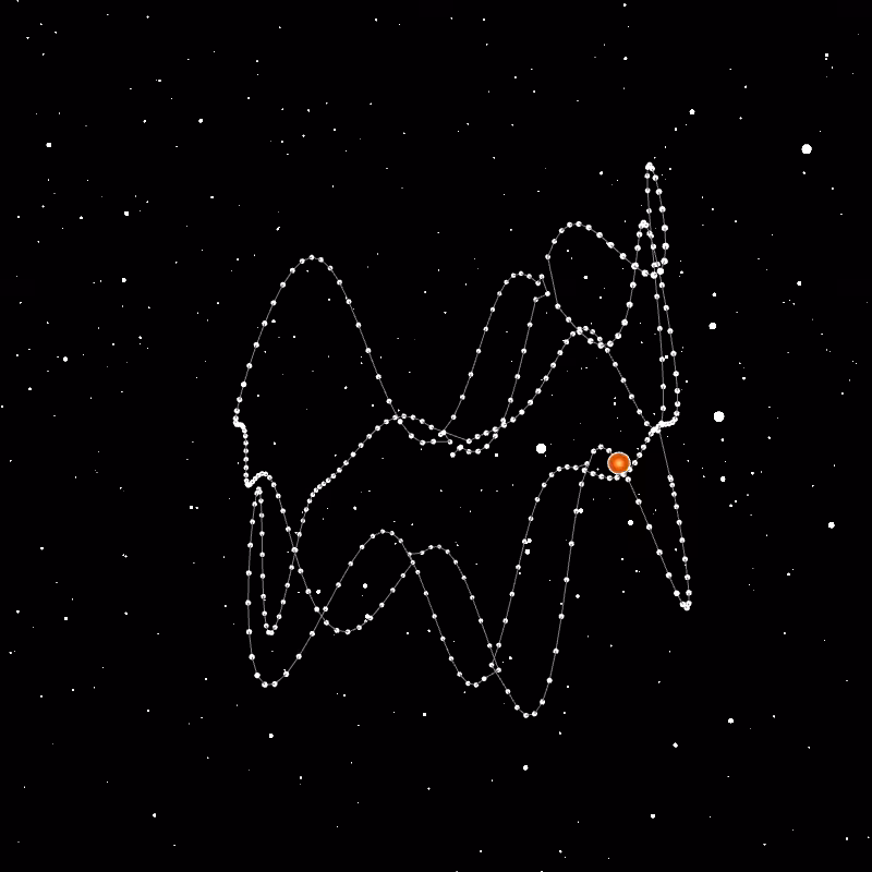 Wallet Constellation - 10