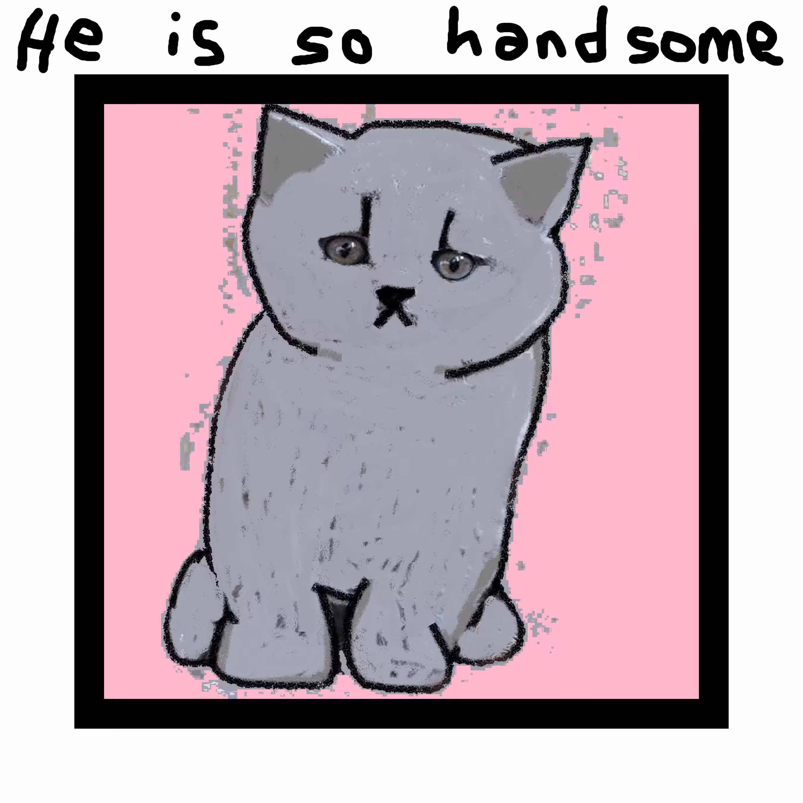 he is so handsome