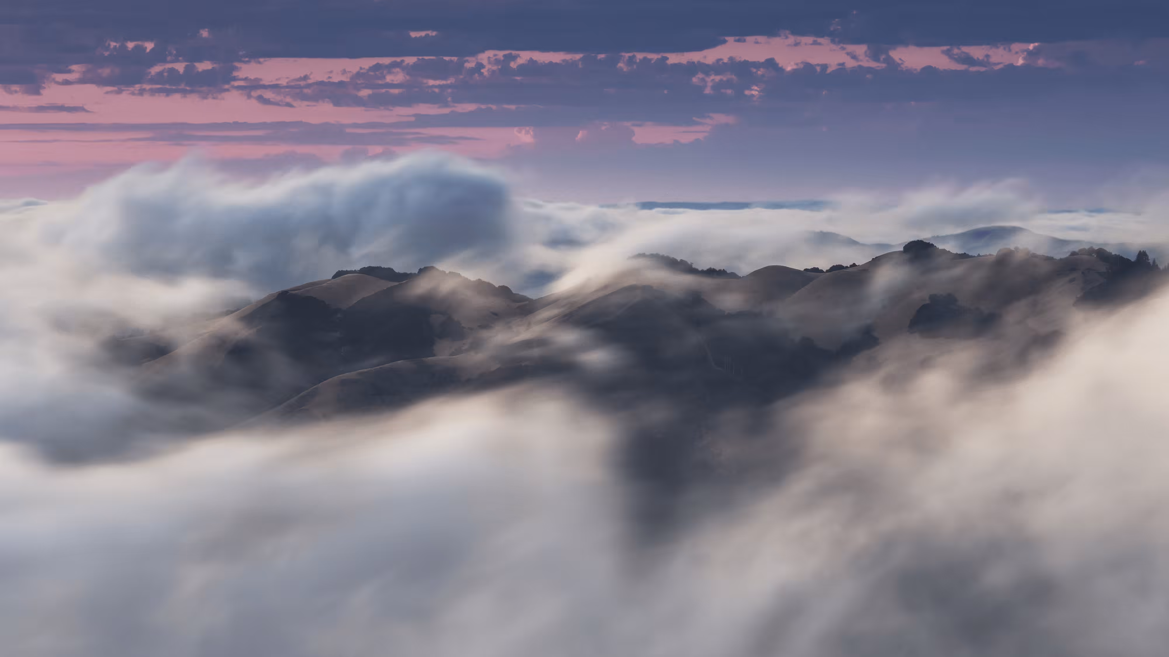 A Symphony of Fog #32