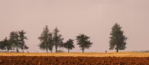 Harvest High #02