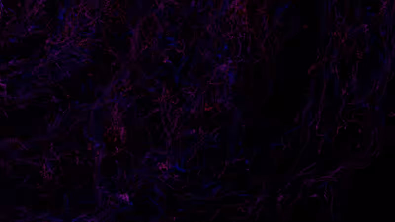 Opus 1. The Flow of Souls #47