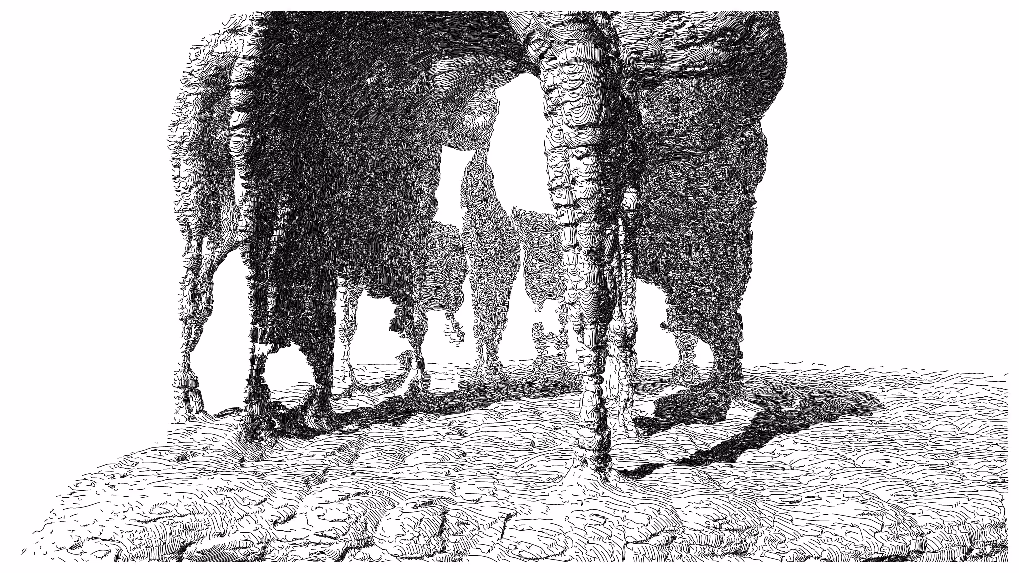 GEOMORPHISM #39
