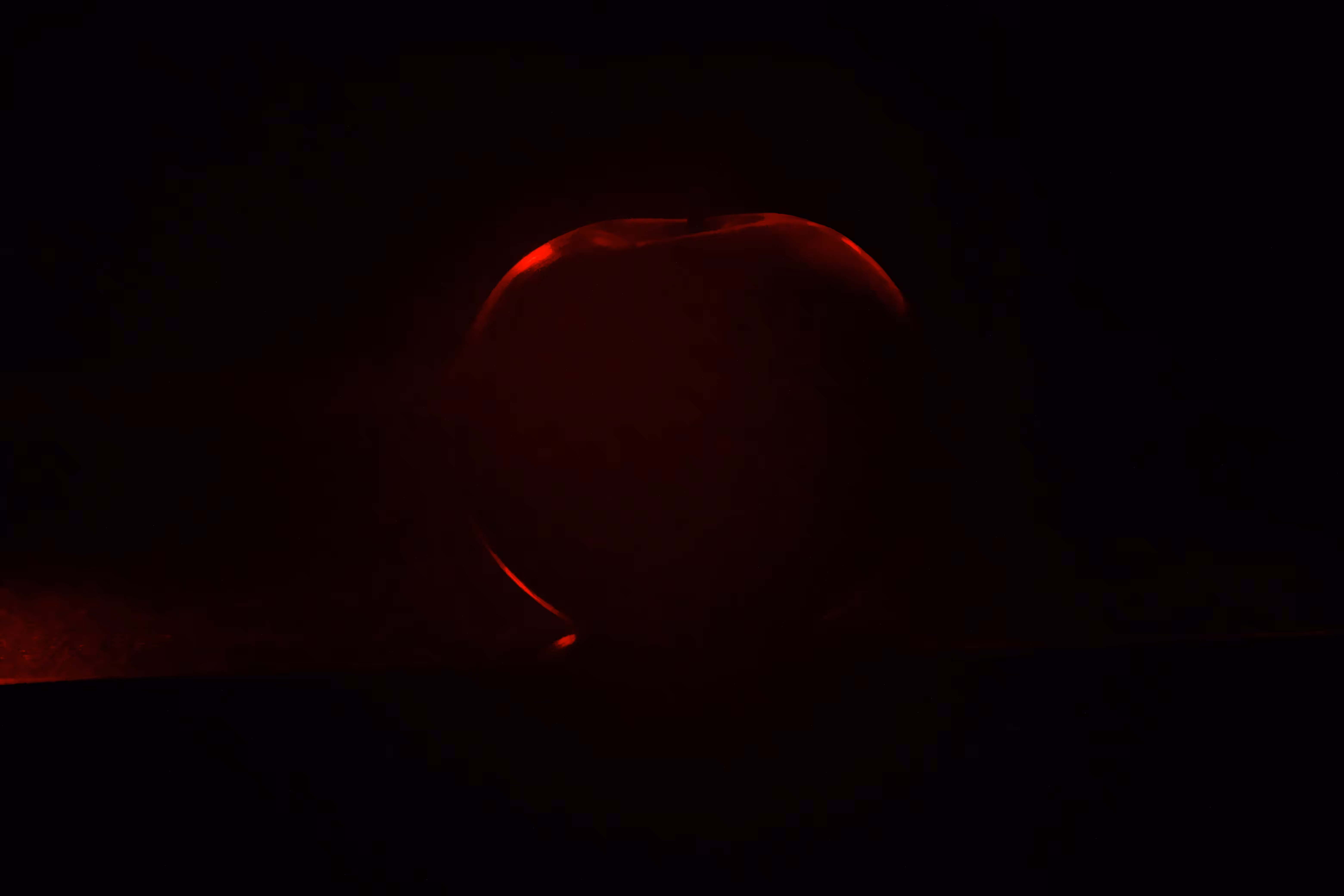 Photographer's DNA - #31