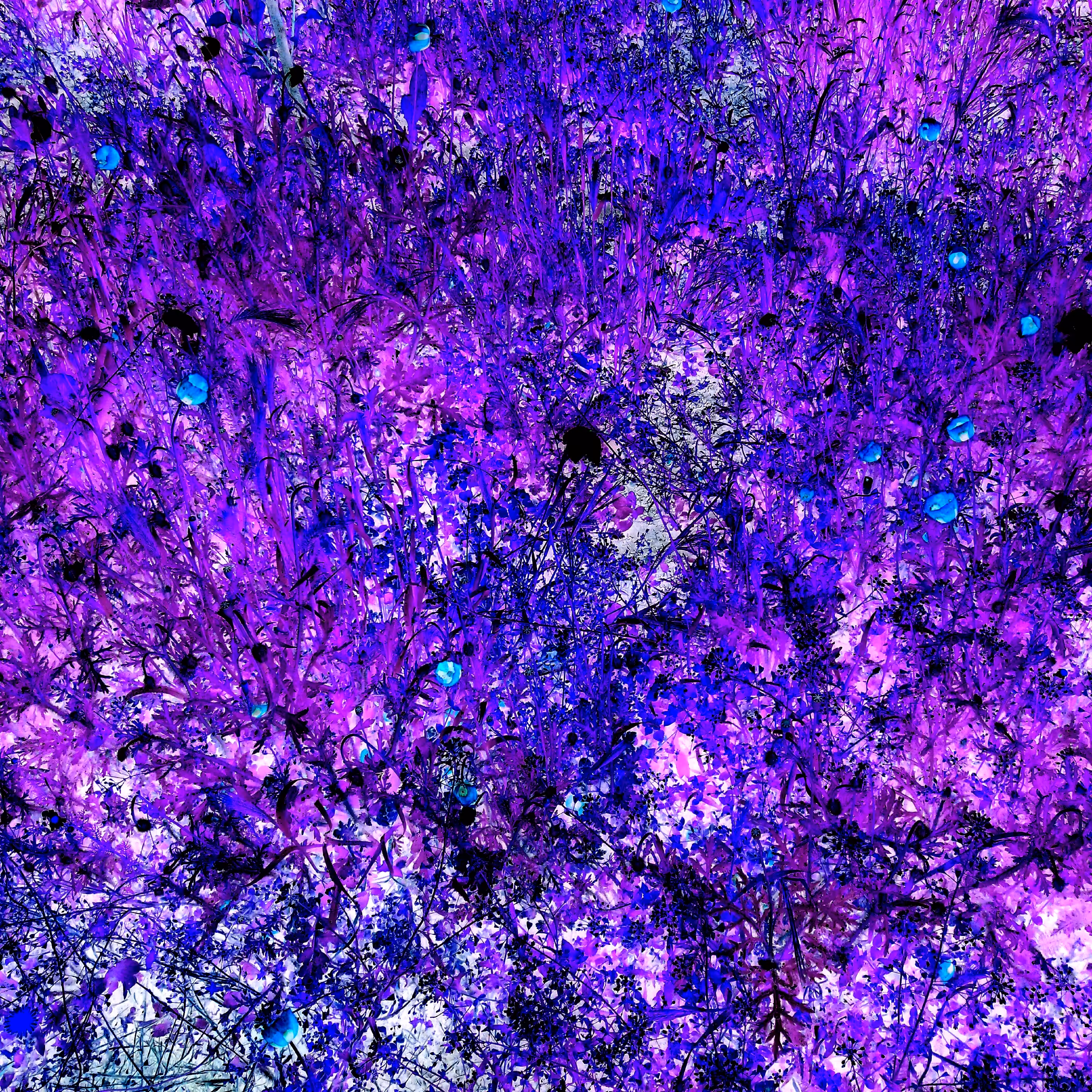 Trip 02