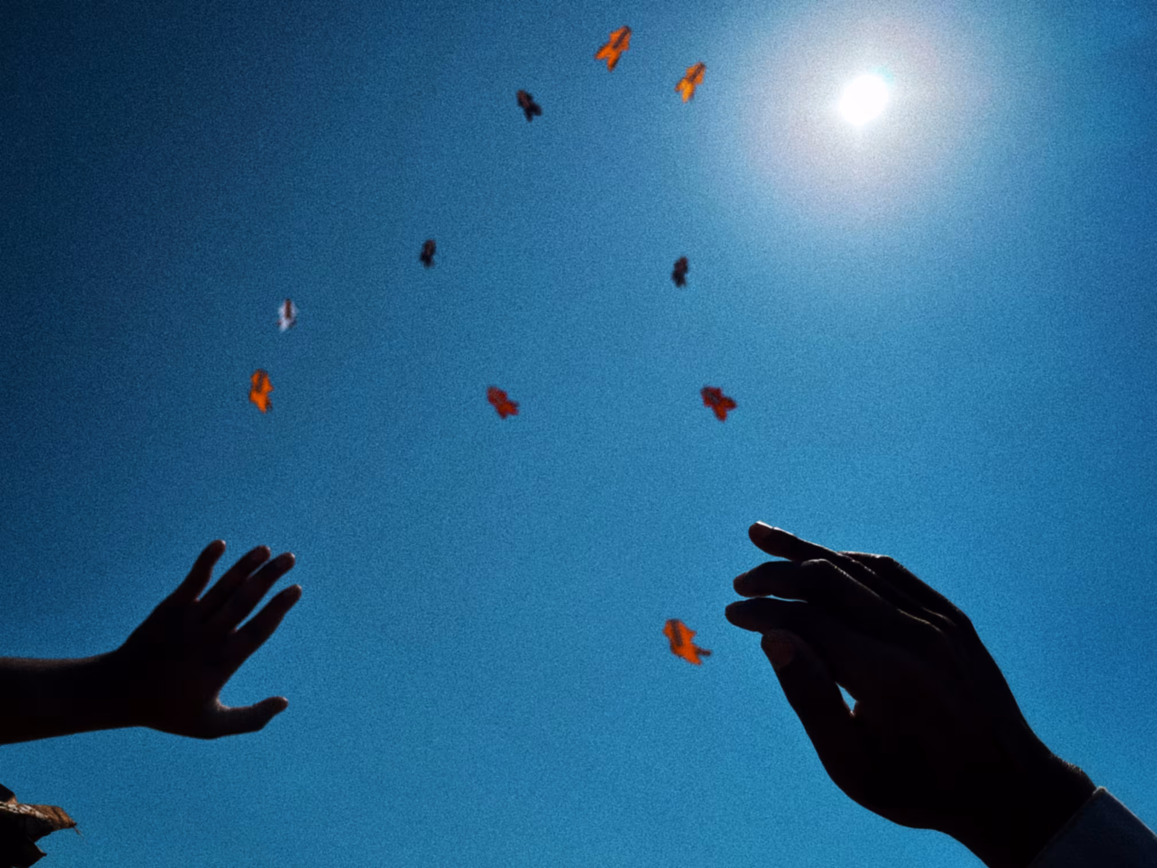 Flying Kites