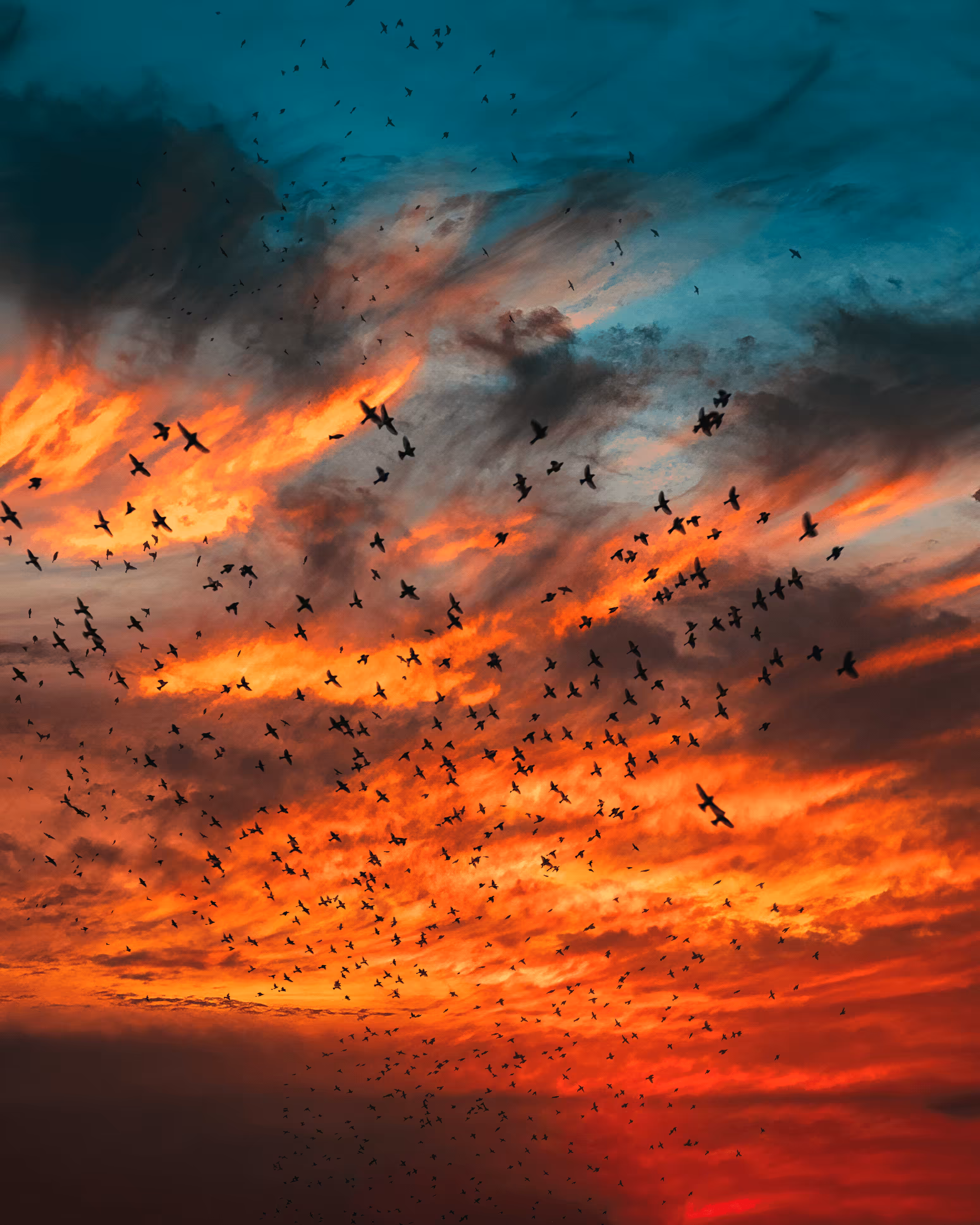 Flock of Us #10