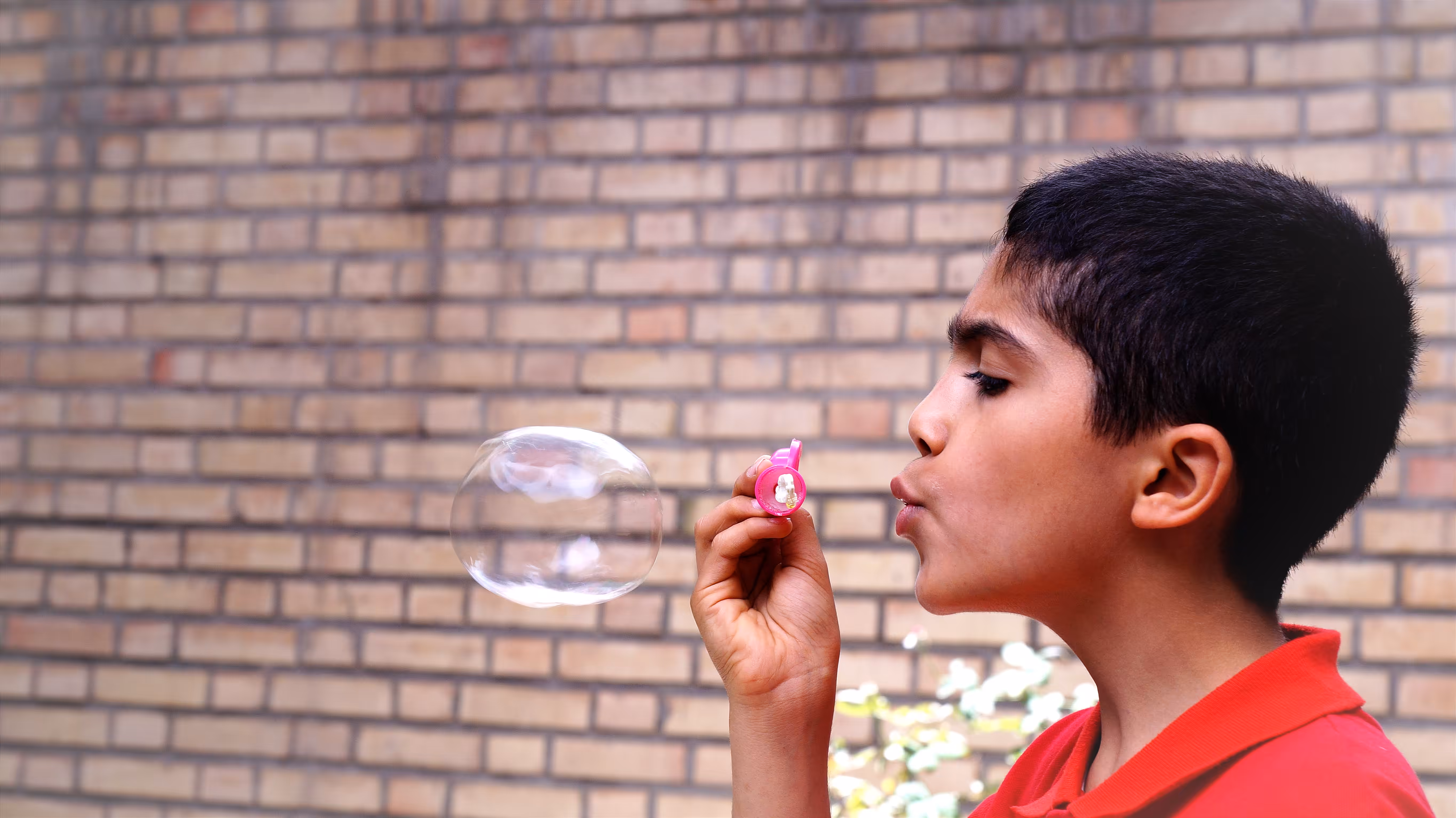 Bubble boy