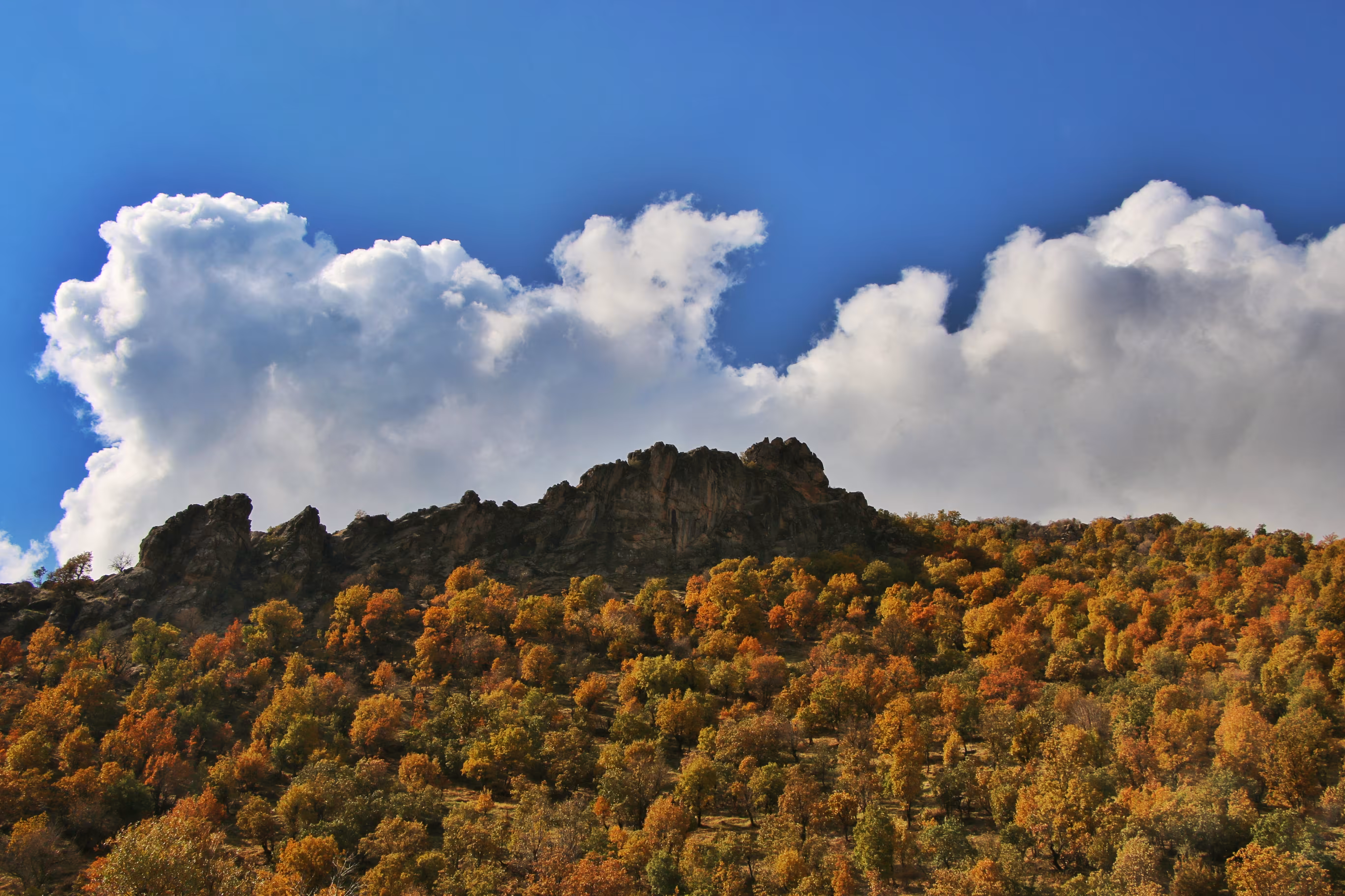  beautiful autumn