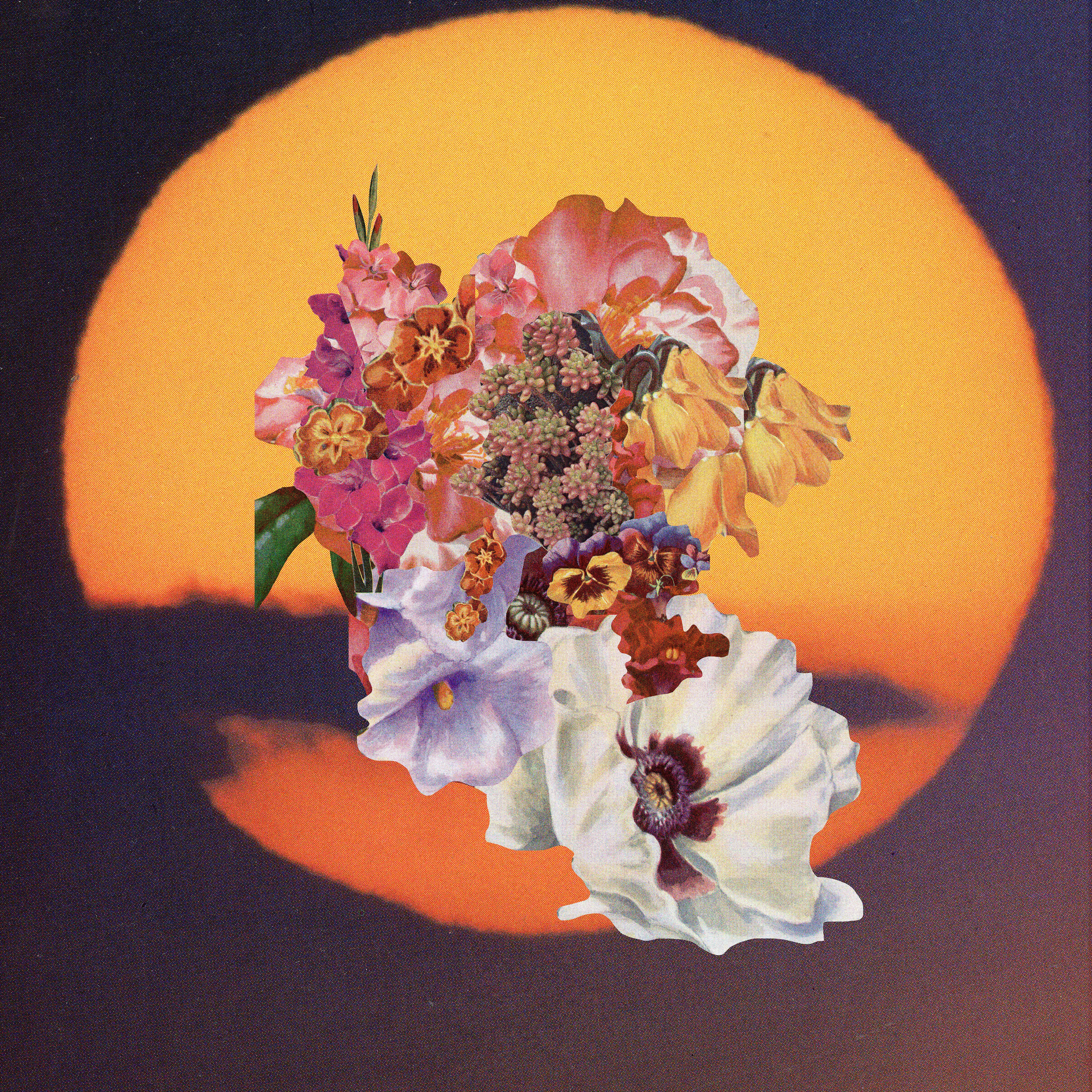 Floral Sunset
