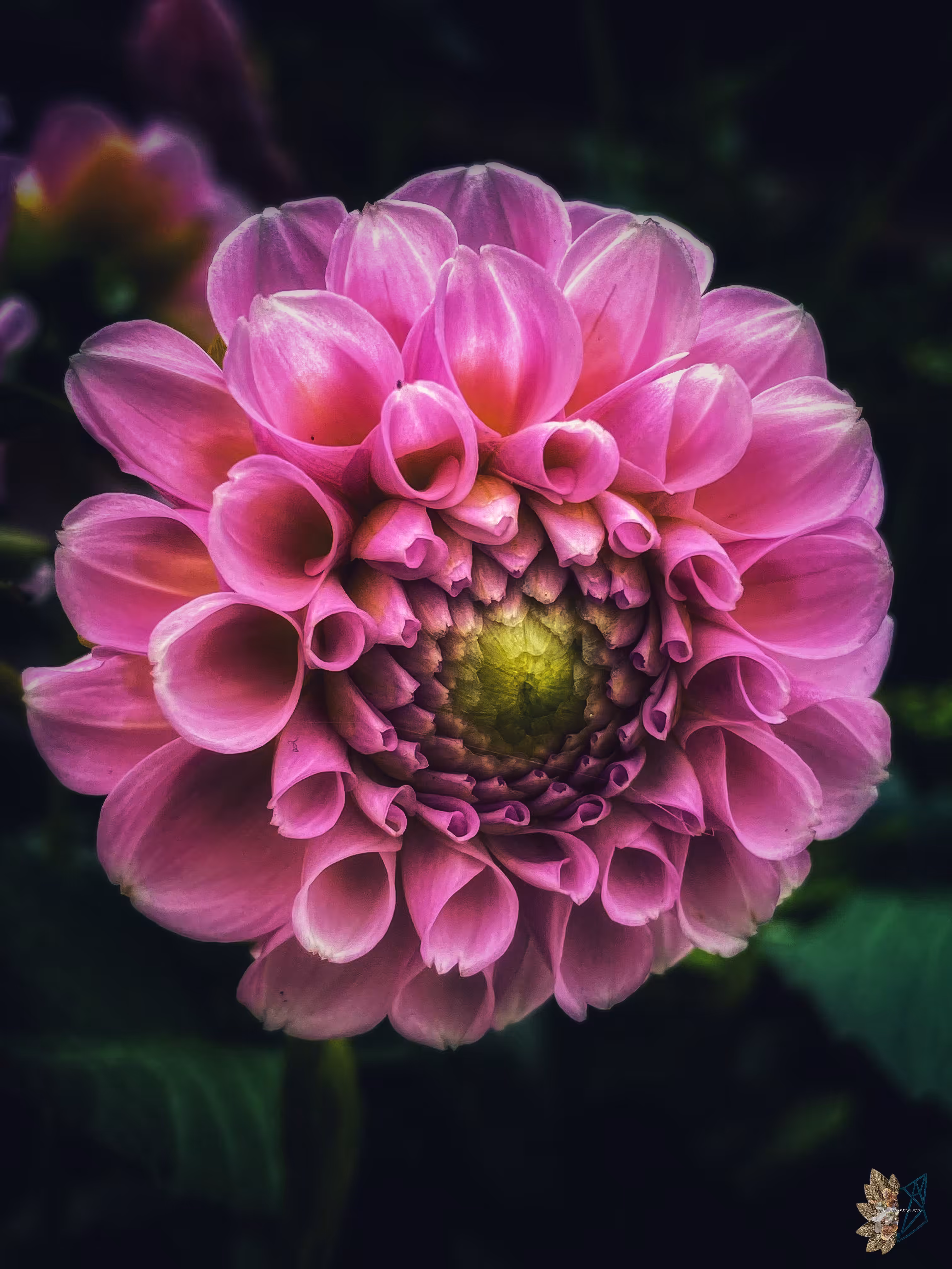 Promise of Perfection