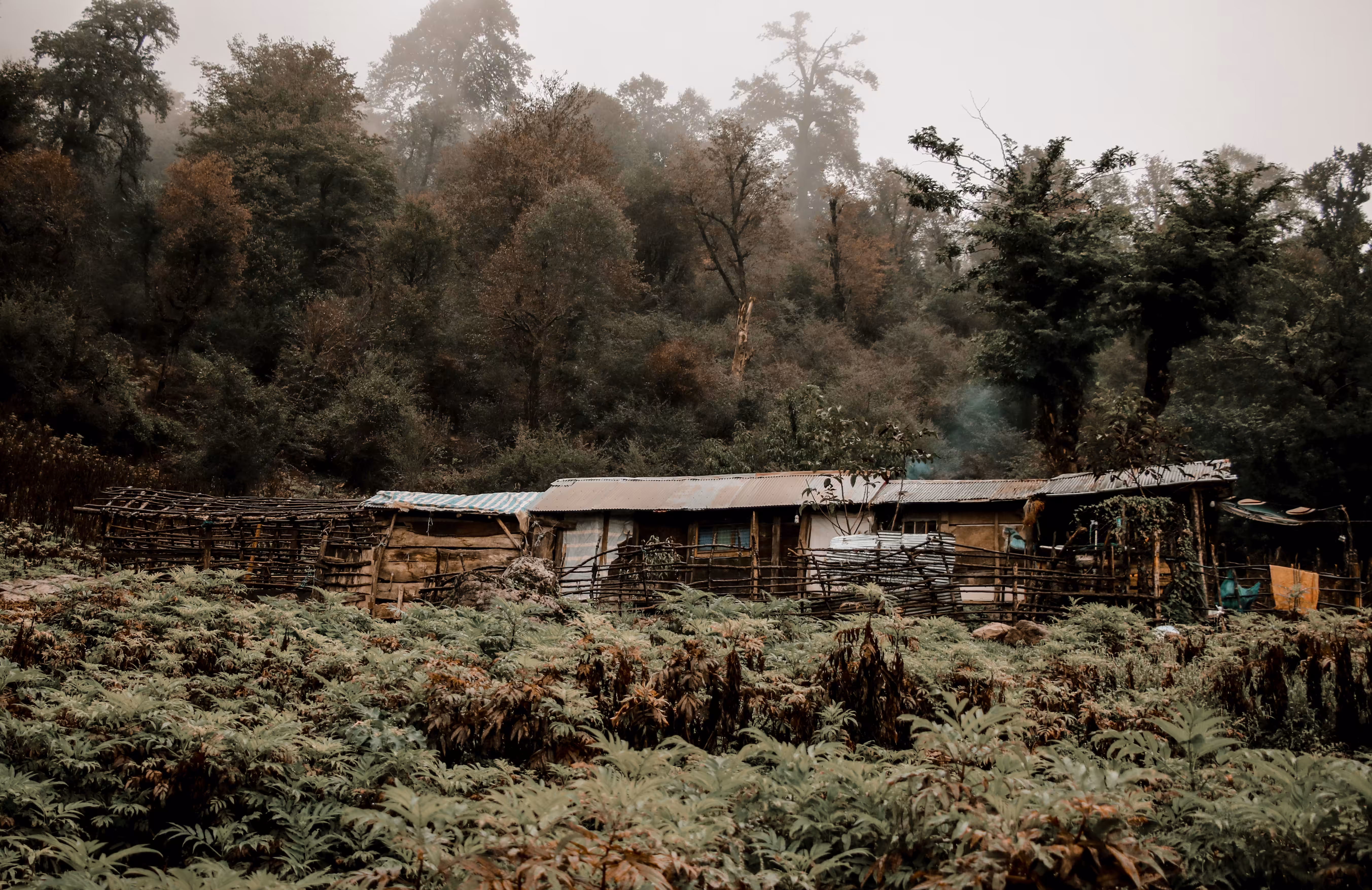 Green Land _ 03