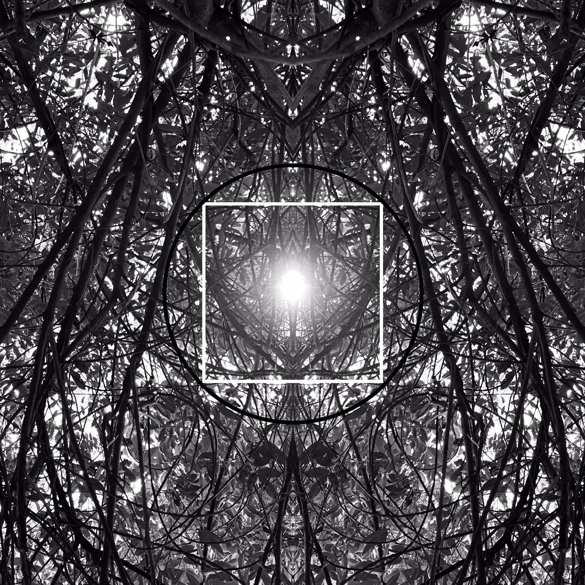 FRCTR/14