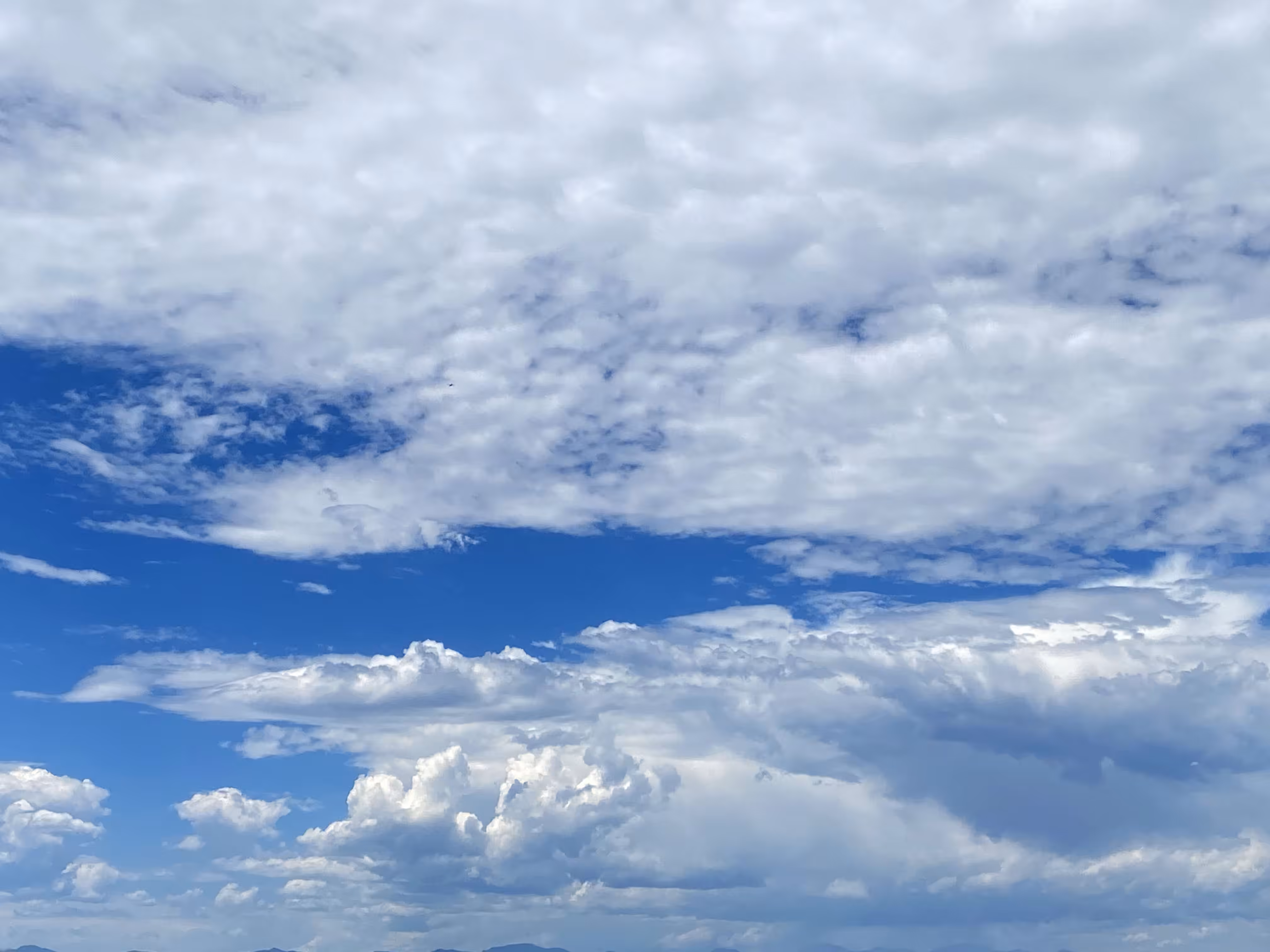 Partly Blue