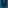 Bunny #11