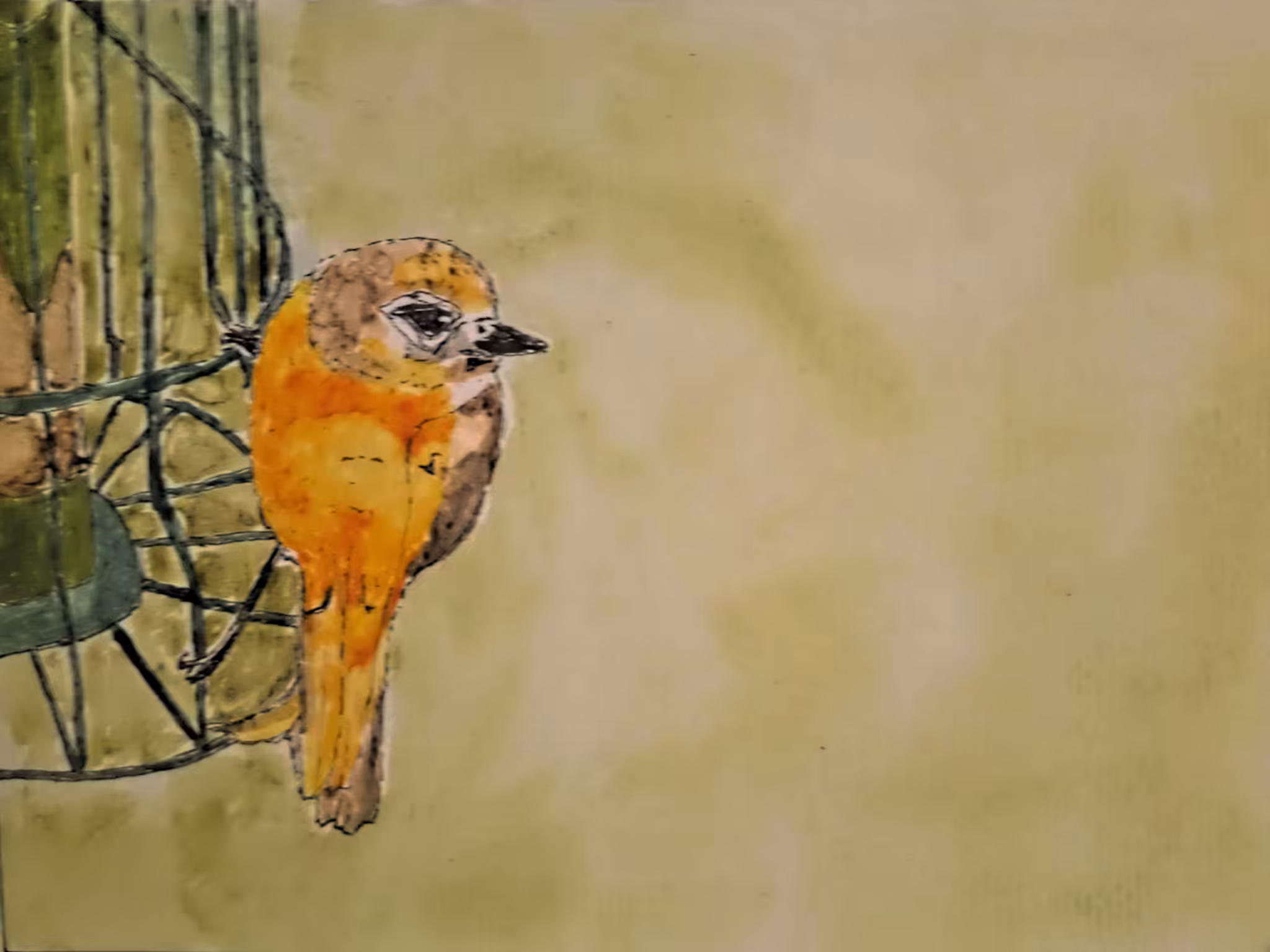 Oriole