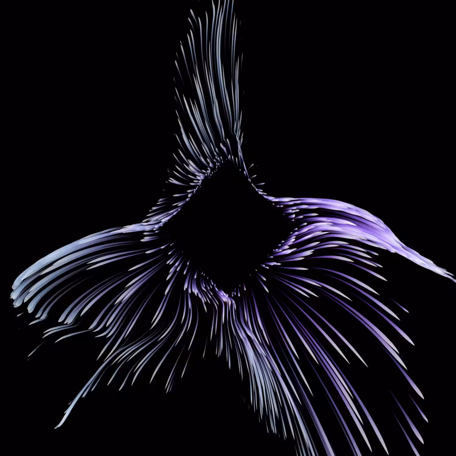 Vortex #185