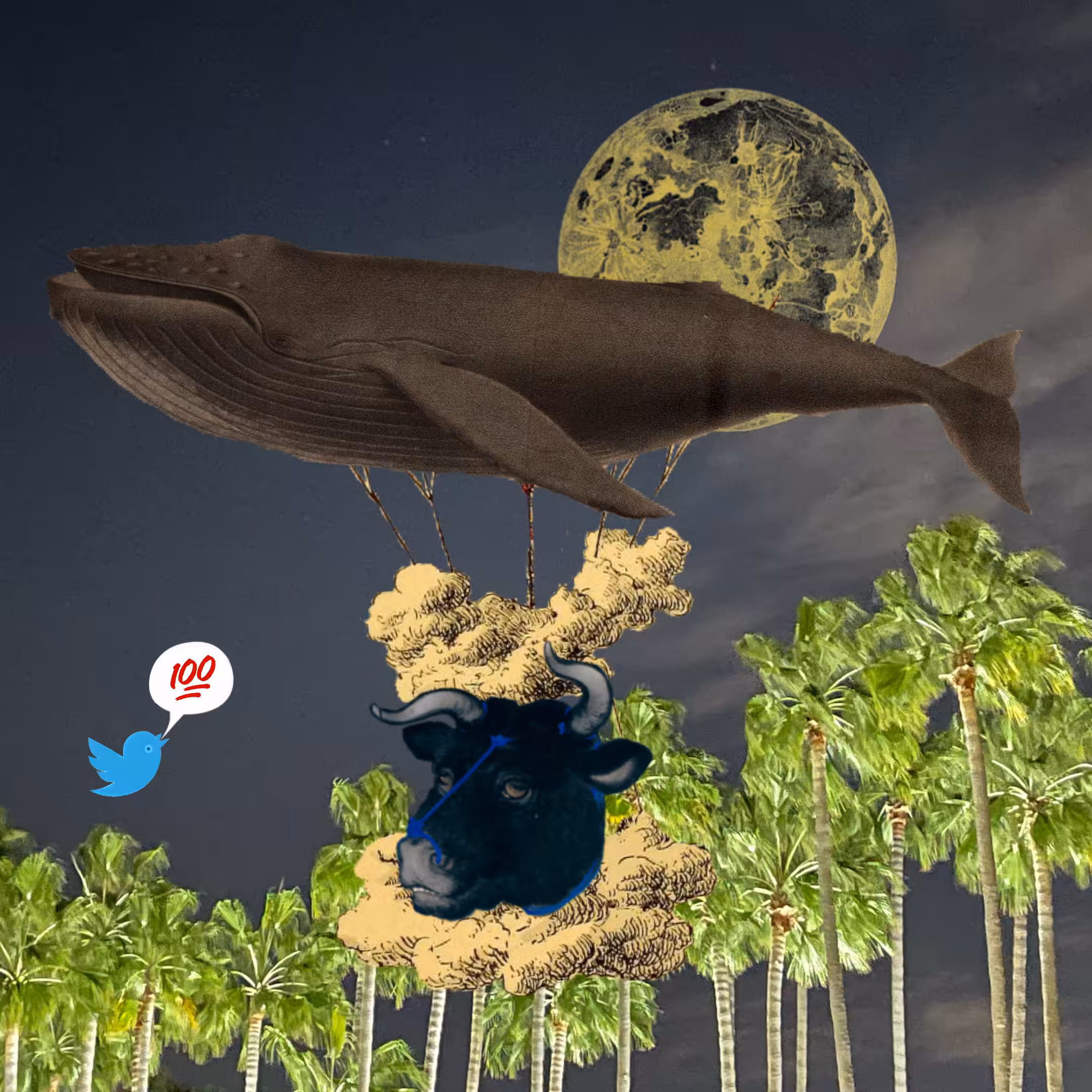 Airship #101